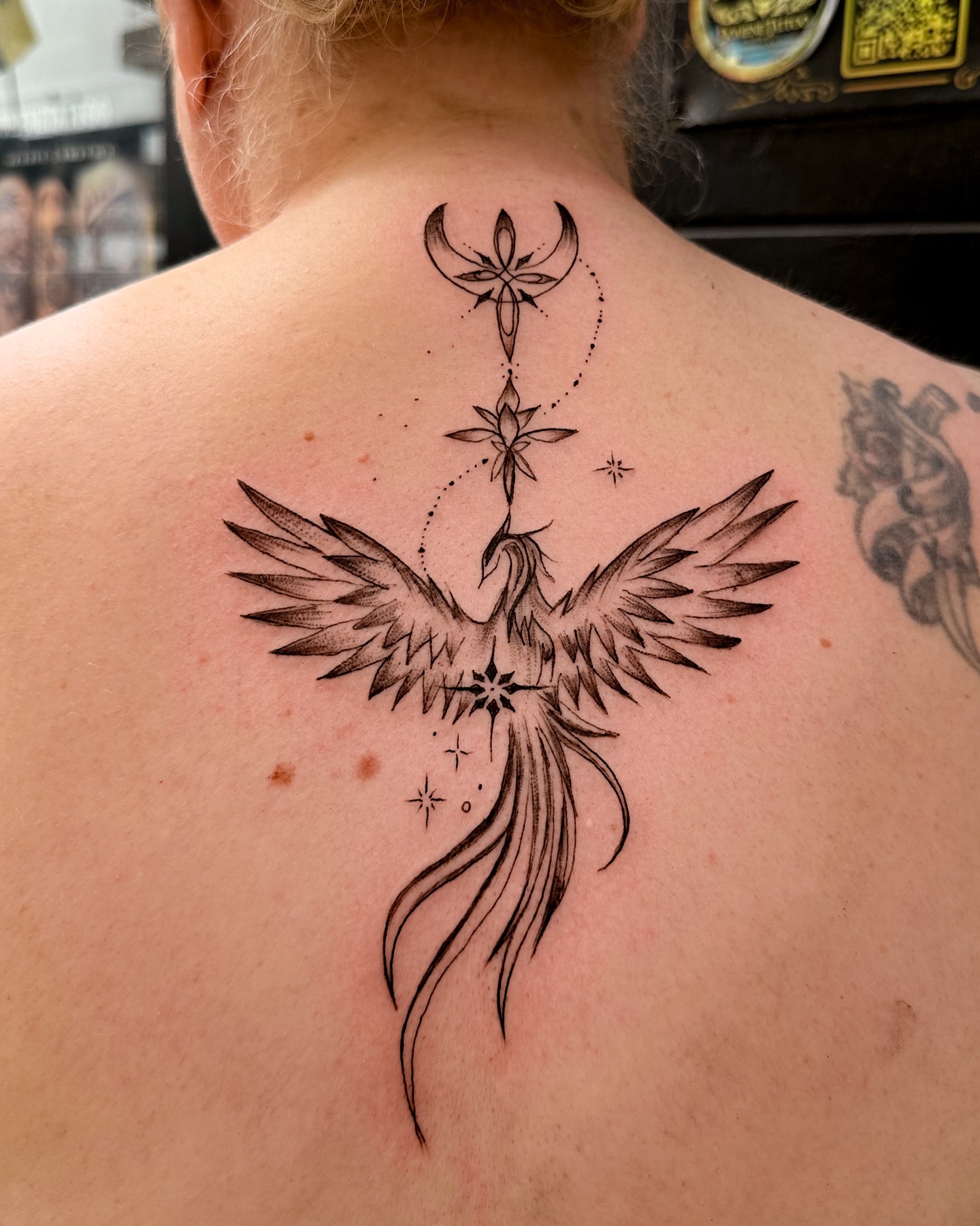 Ave Fénix Fine Line