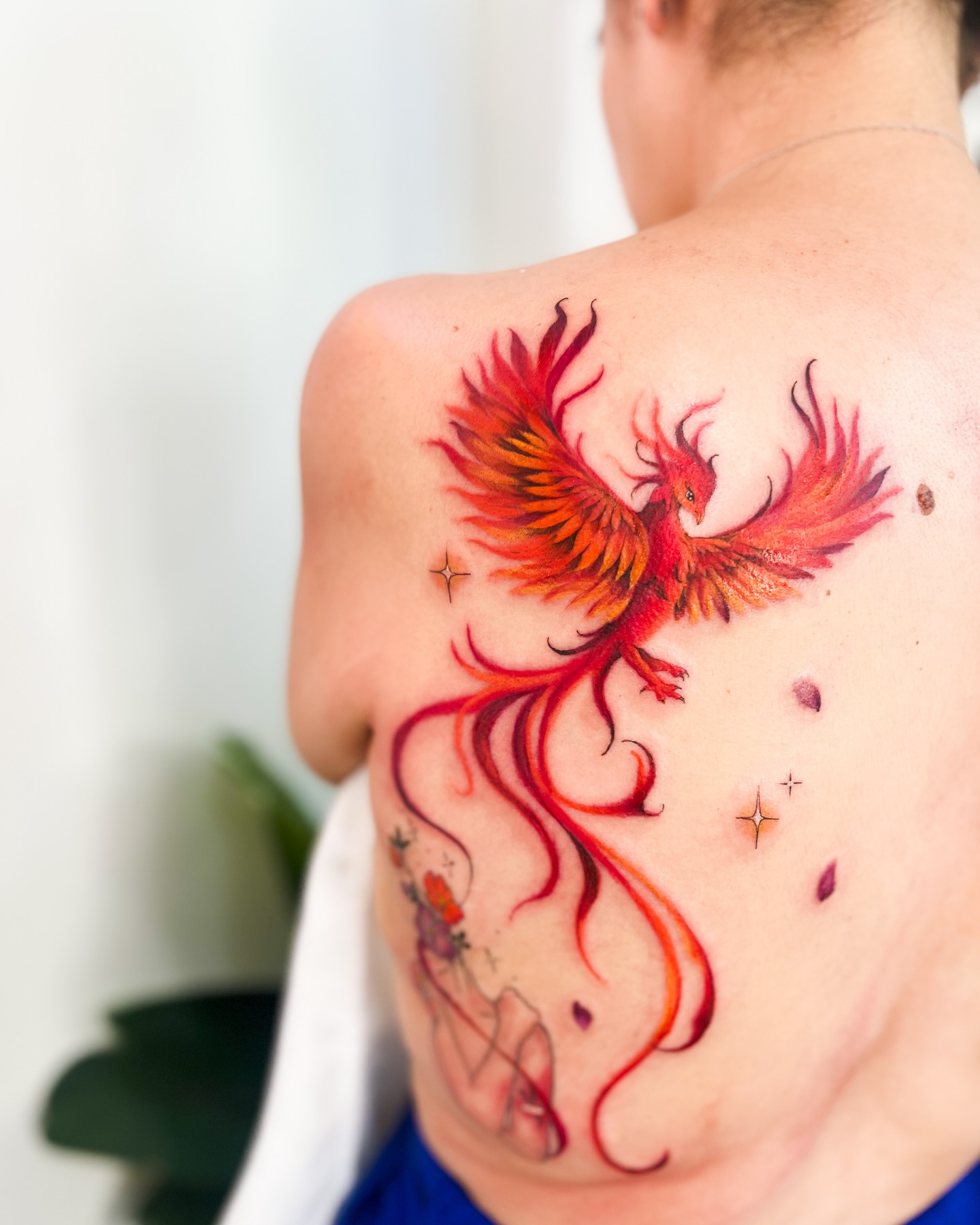 Fénix ardiente color