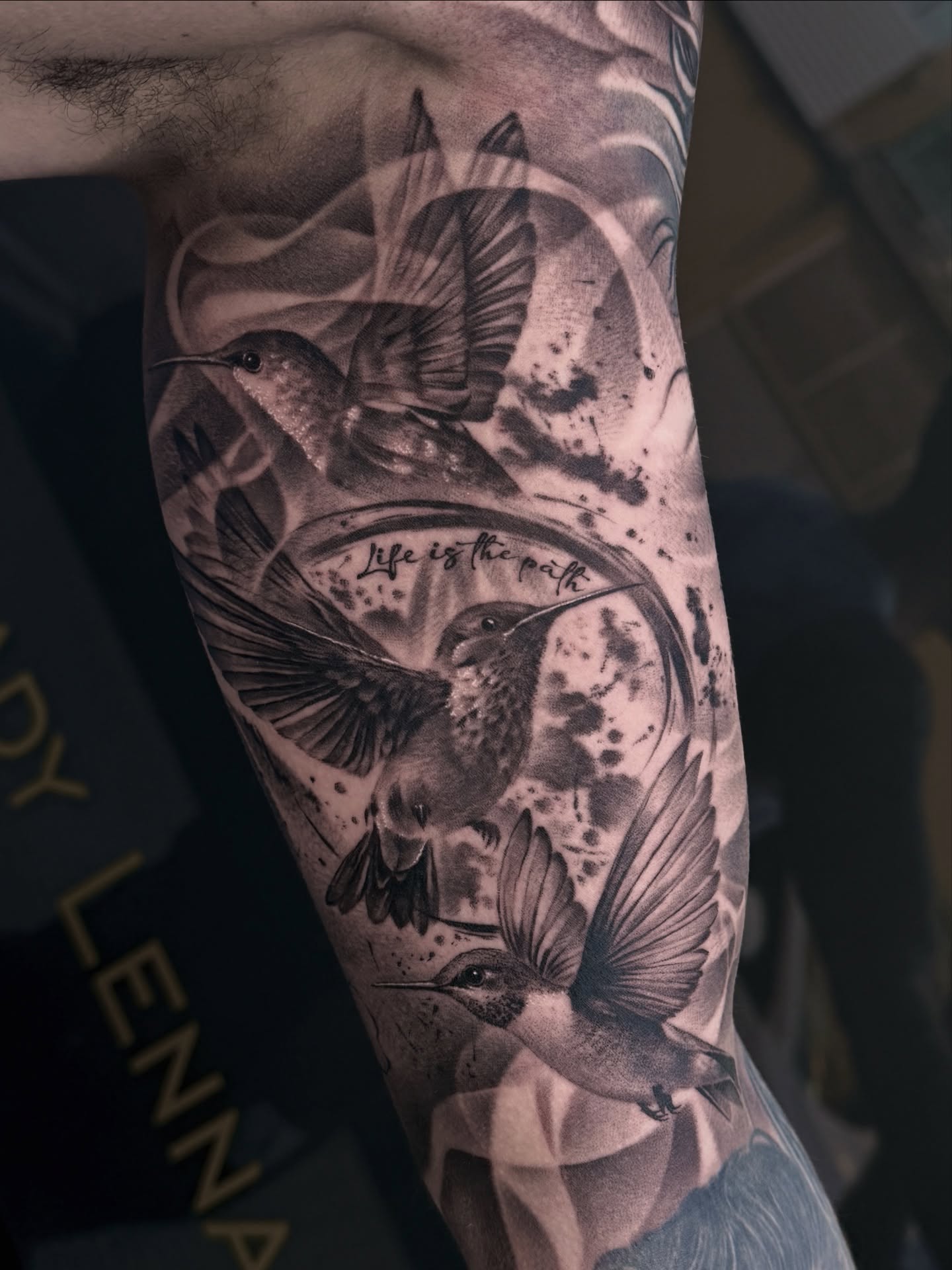 Elegancia de Aves Realistas