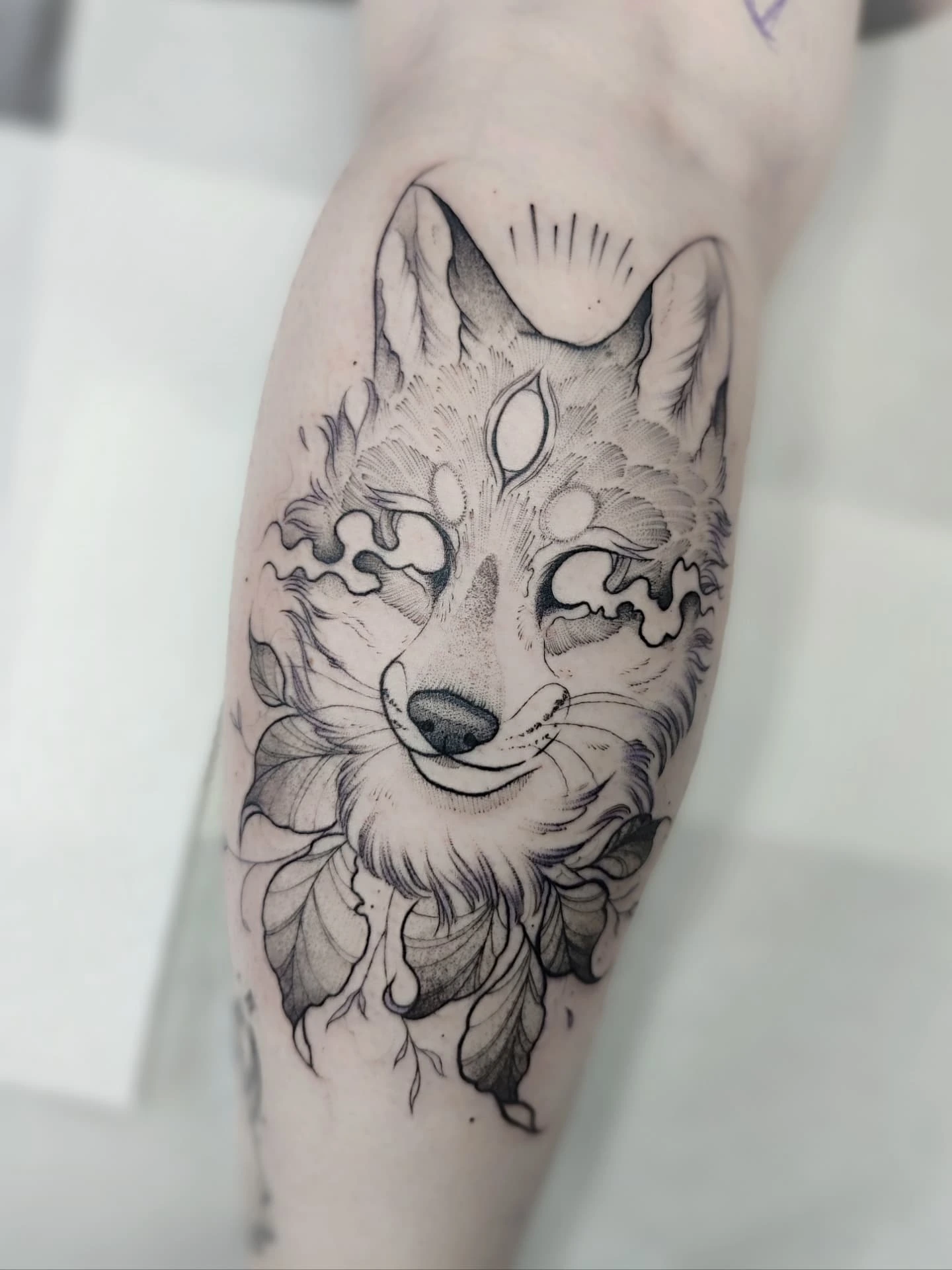 Lone Fox Portrait