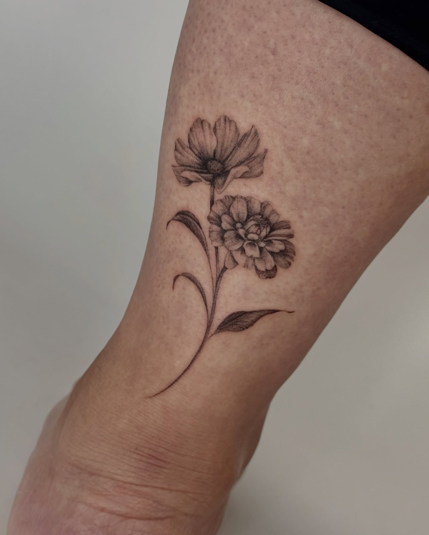 Marigold Bouquet Linework