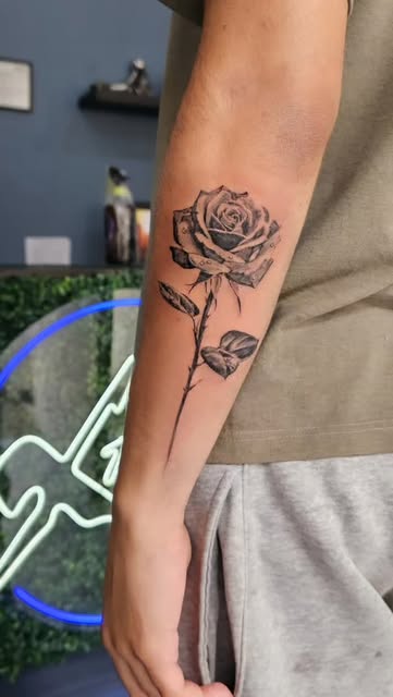 Rosa y enredadera