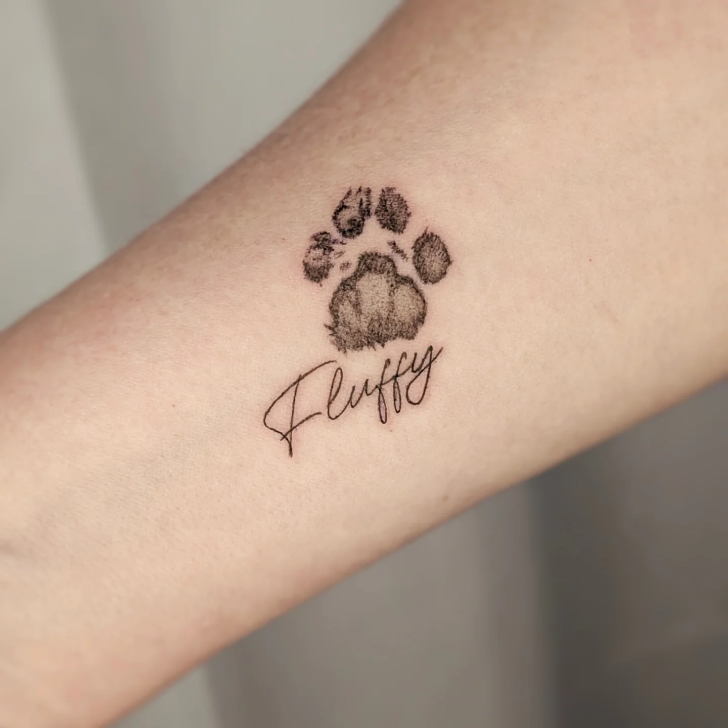 Cat Paw Handprint