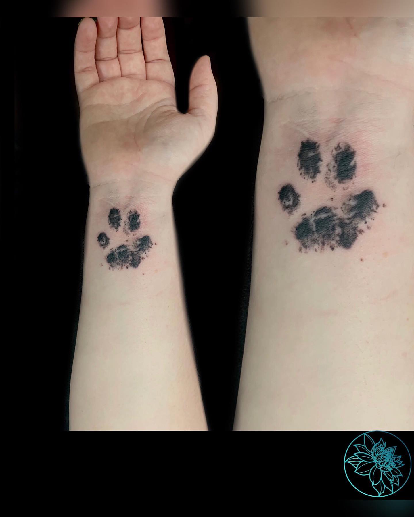 Black Cat Paw Prints