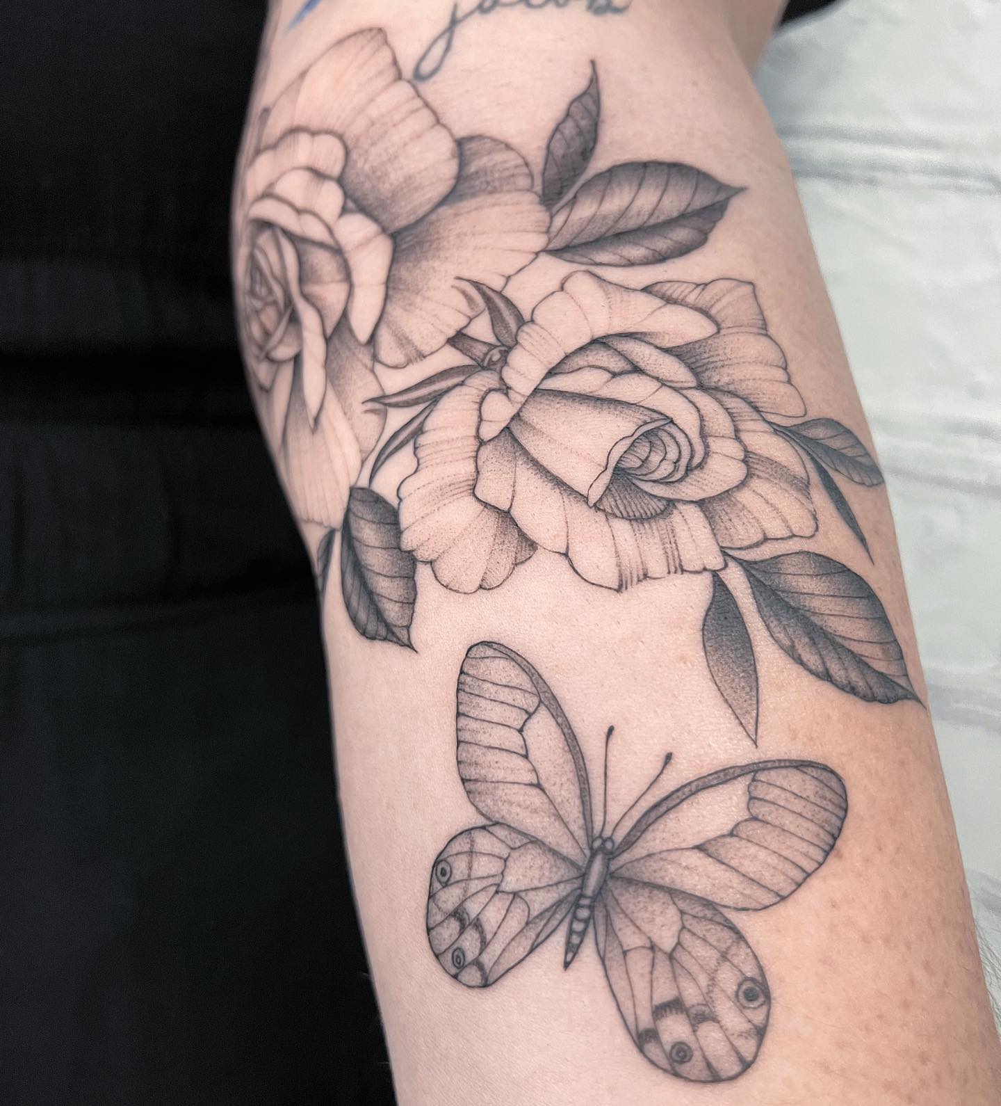 Butterfly Rose Bloom