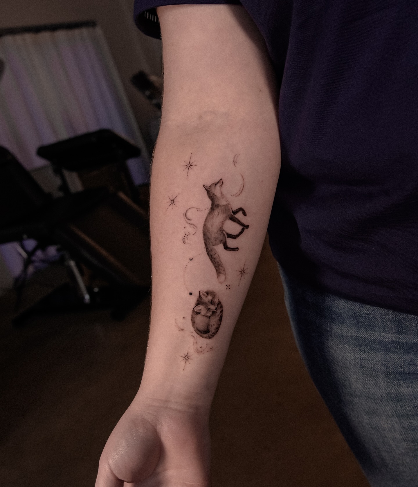 Whimsical Fox Constellation