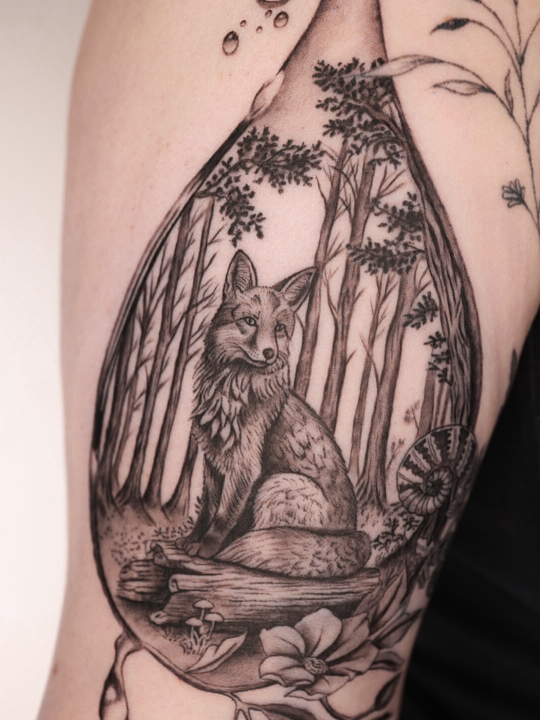 Fox in Forest Umbra