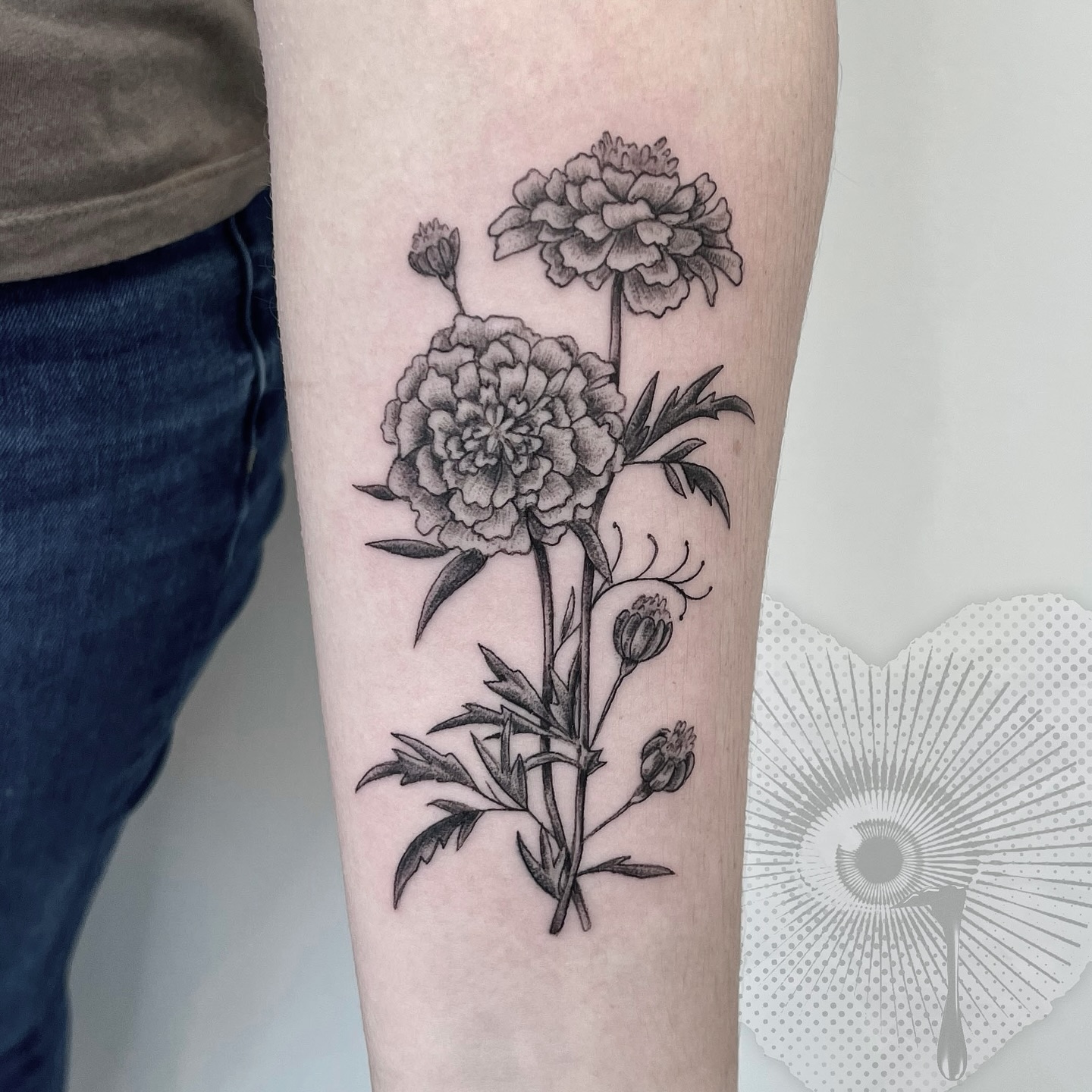 Marigold Bouquet Bloom
