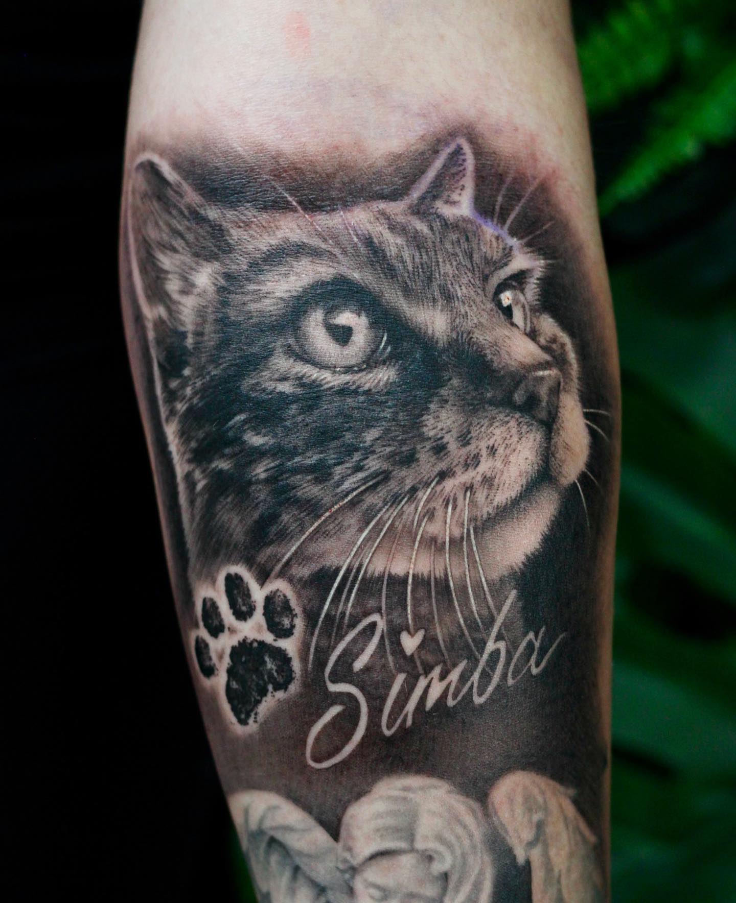 Cat Paw & Whiskers