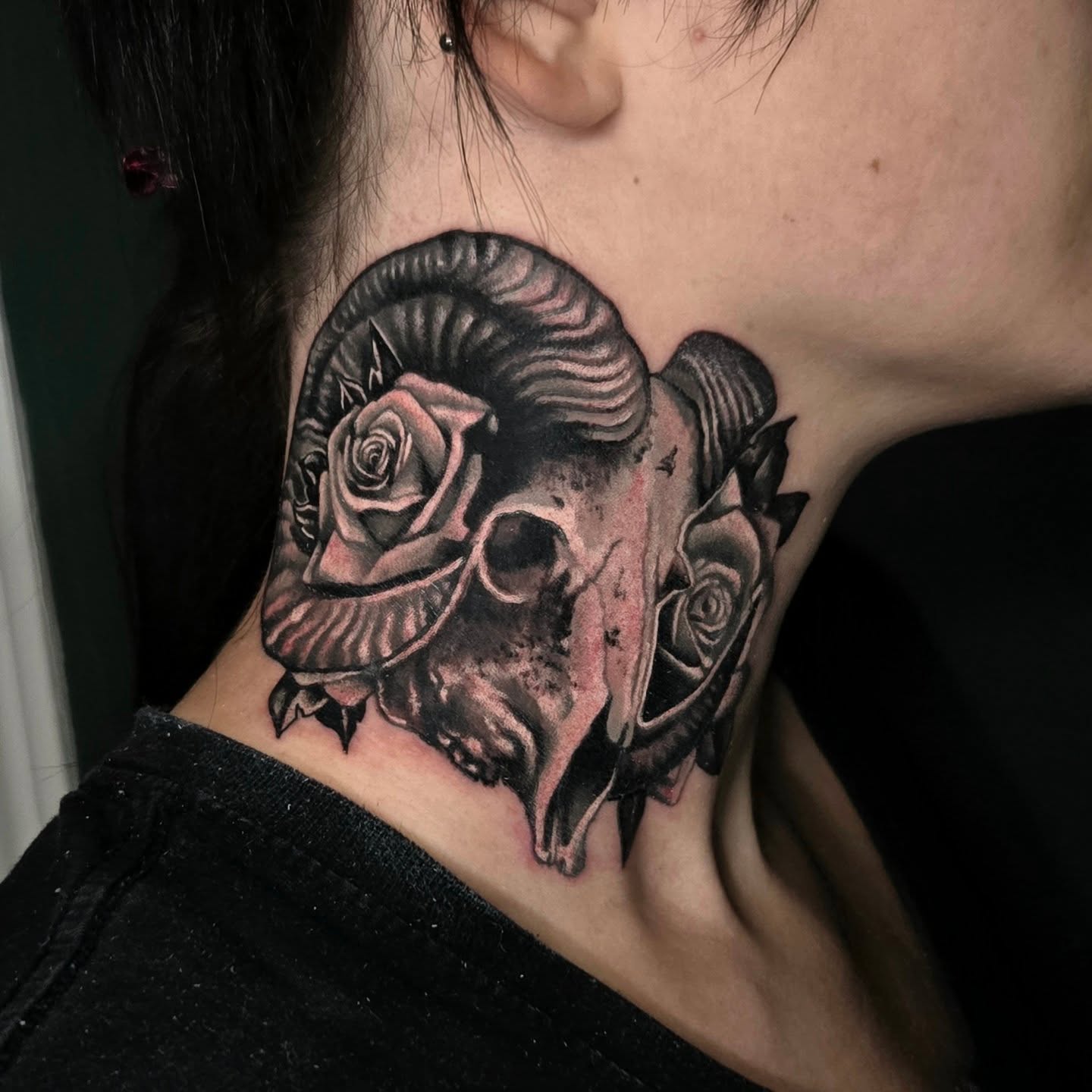 Skull in Rose Halo