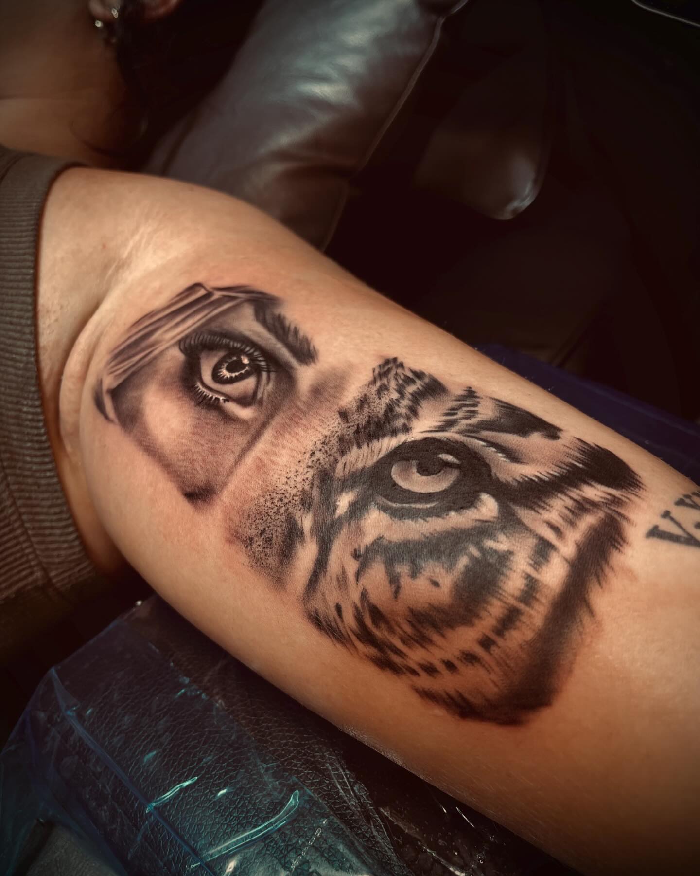 Tiger Eye Gaze