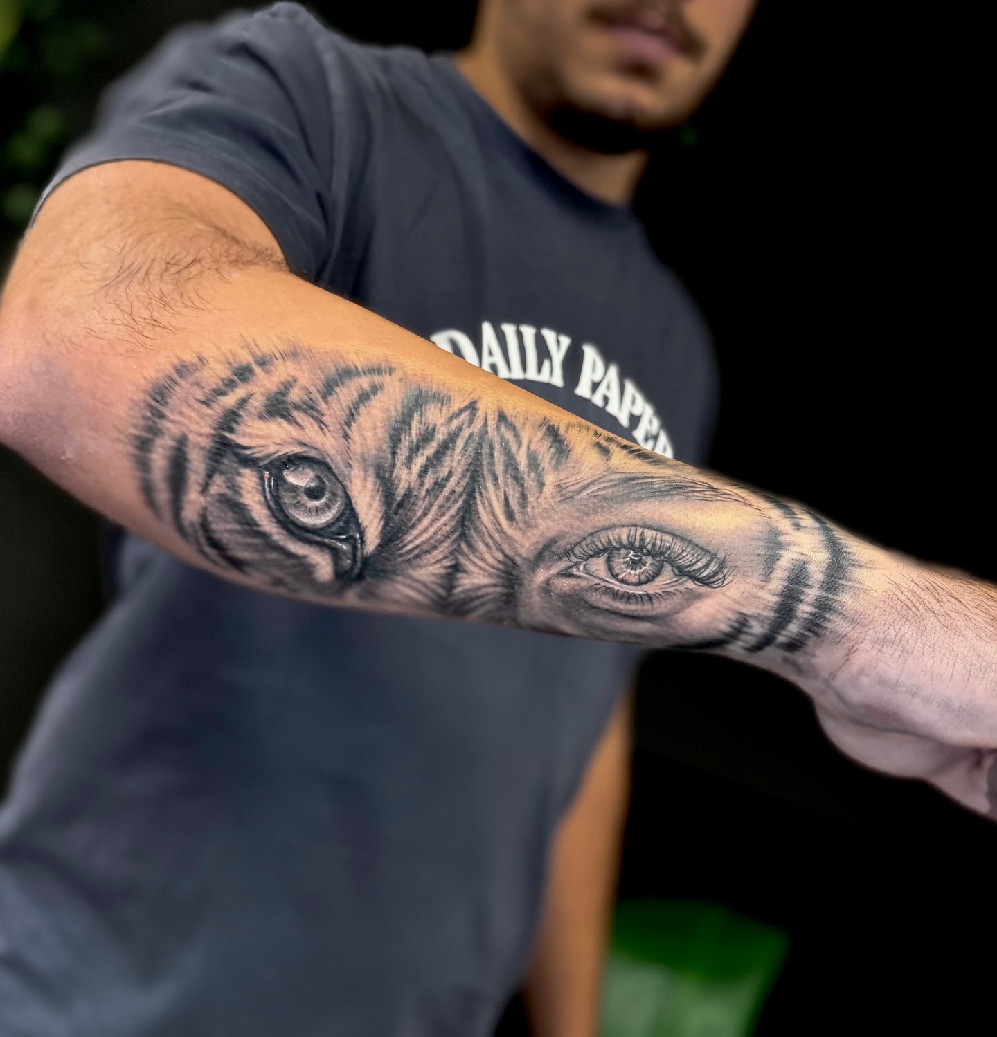 Tiger Eyes Dual Gaze