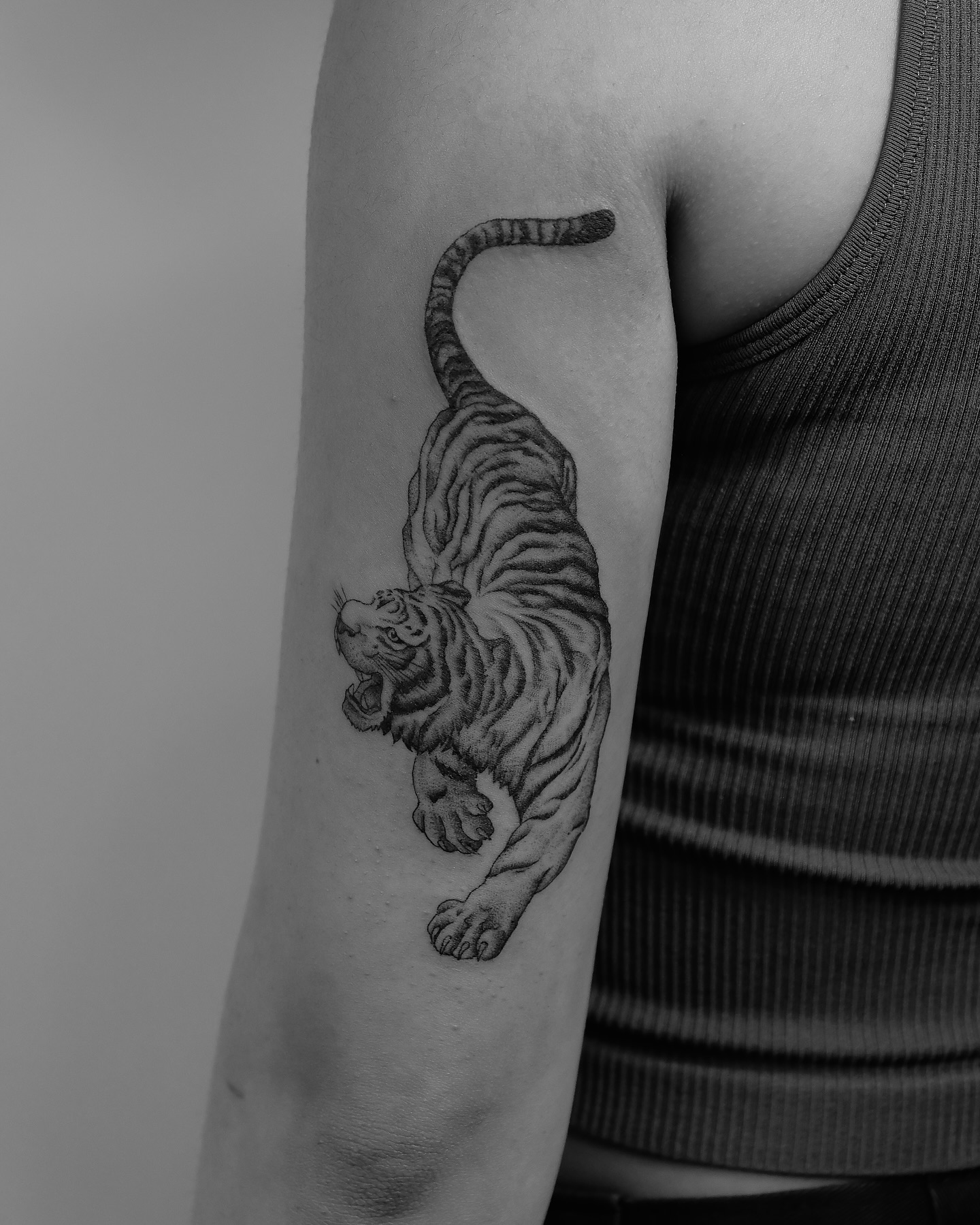 Tiger Grip Triceps