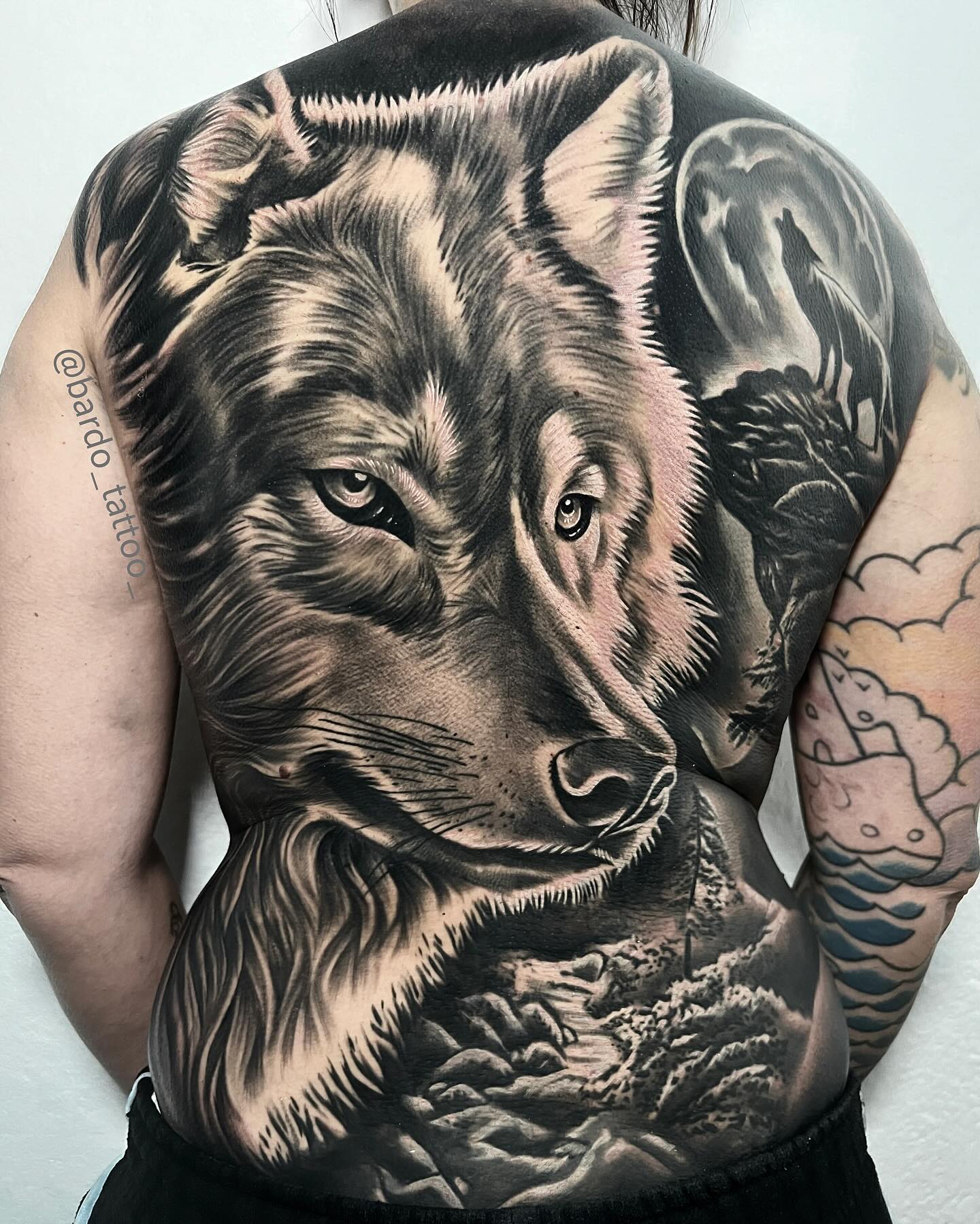 Lobo realista en sombras