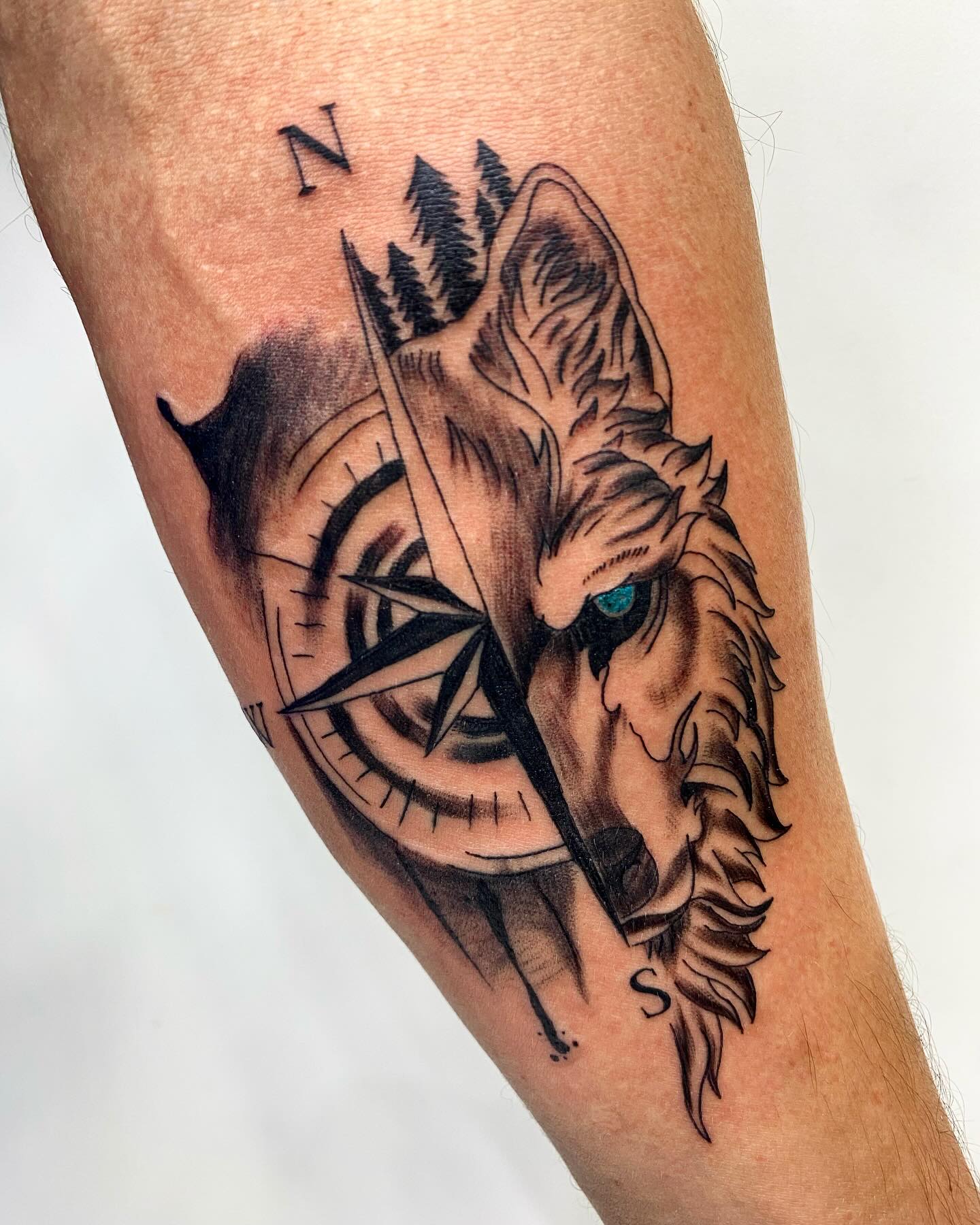 Lobo místico a lápiz