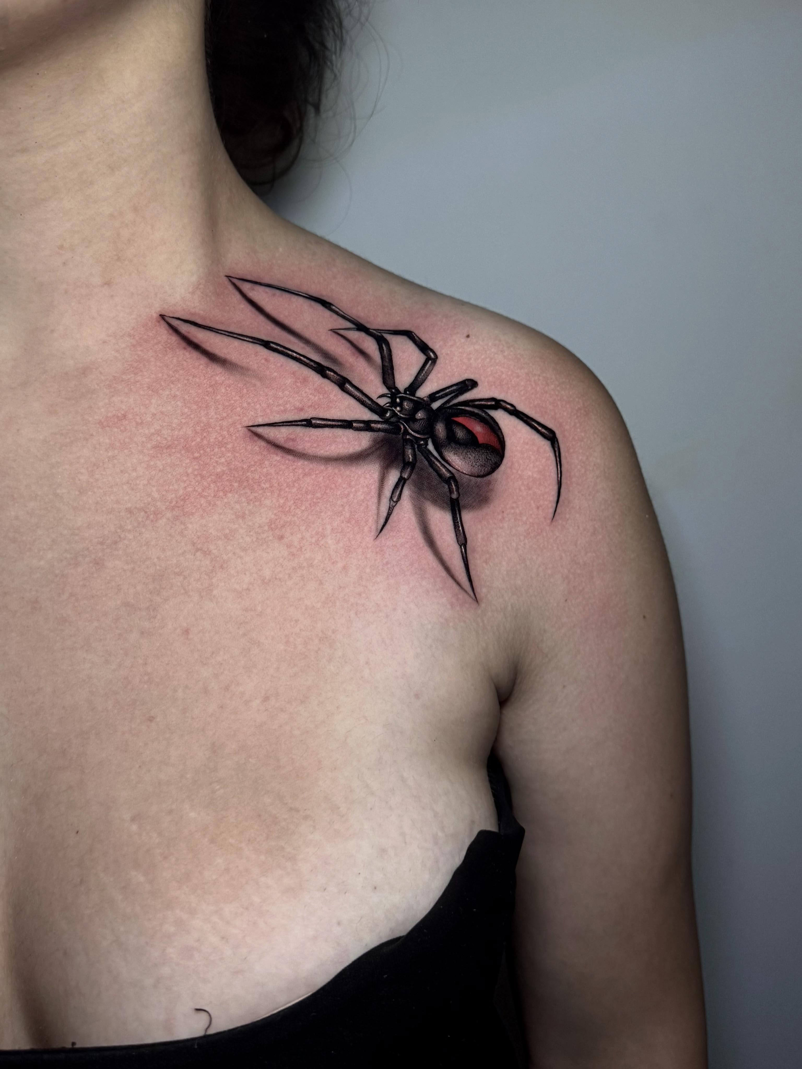 Black Widow Webbed Spider