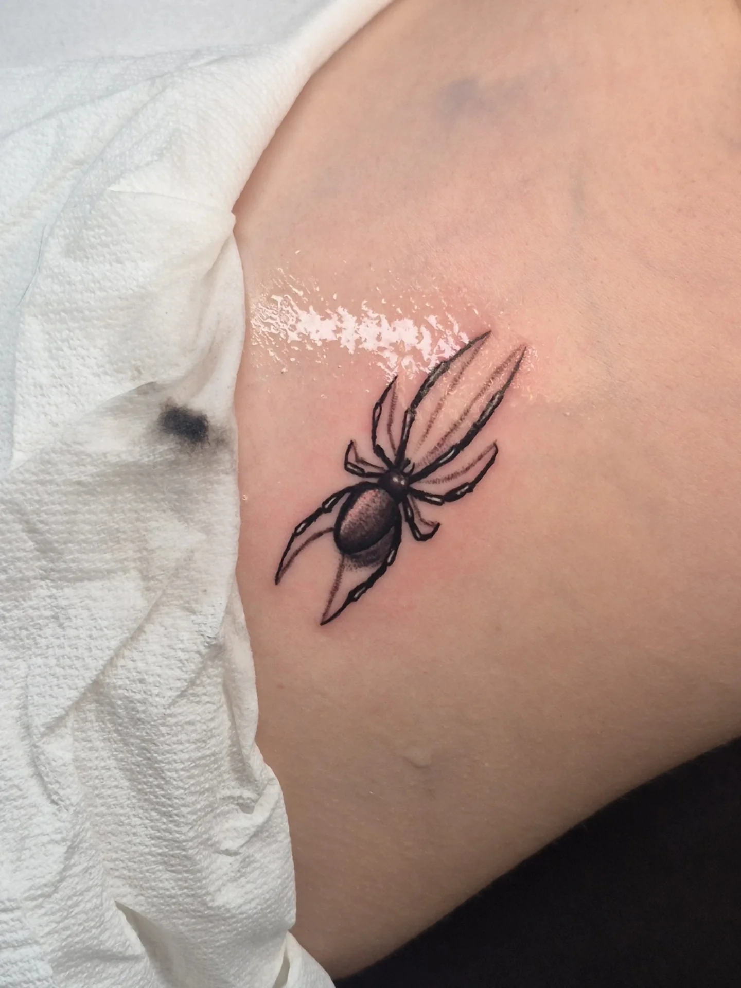 Black Widow Spider Ink