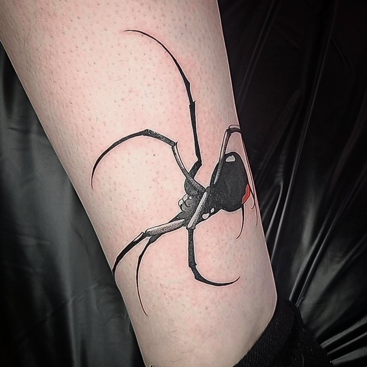 Black Widow Embrace