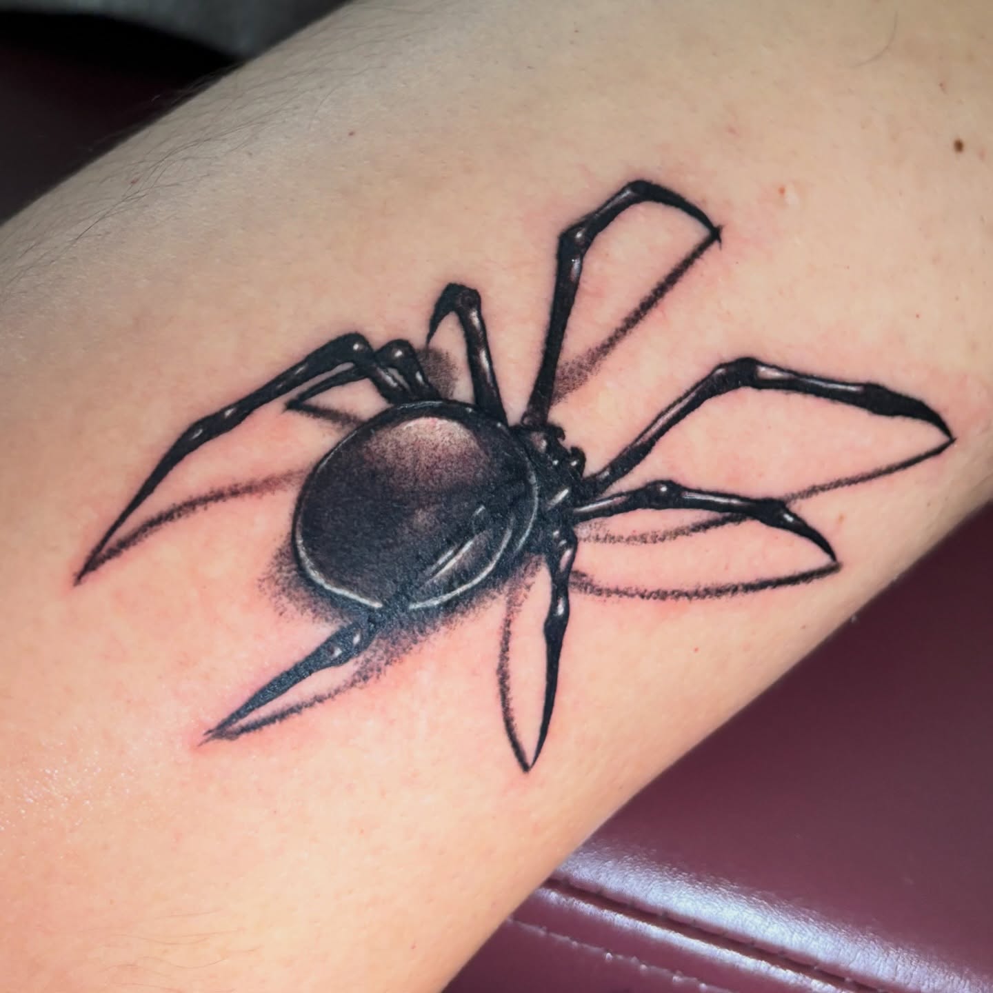 Black Widow Spider Ink