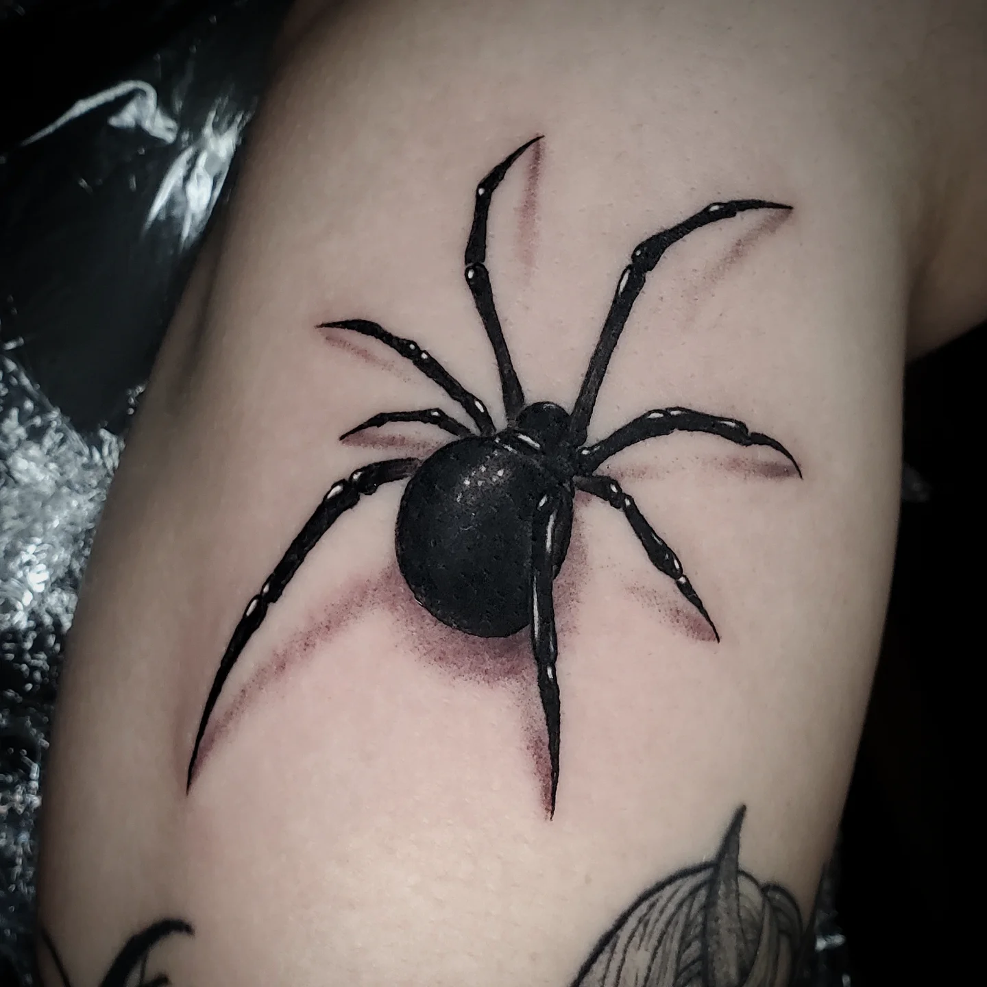 30+ Black Widow Spider Tattoo Designs & Ideas