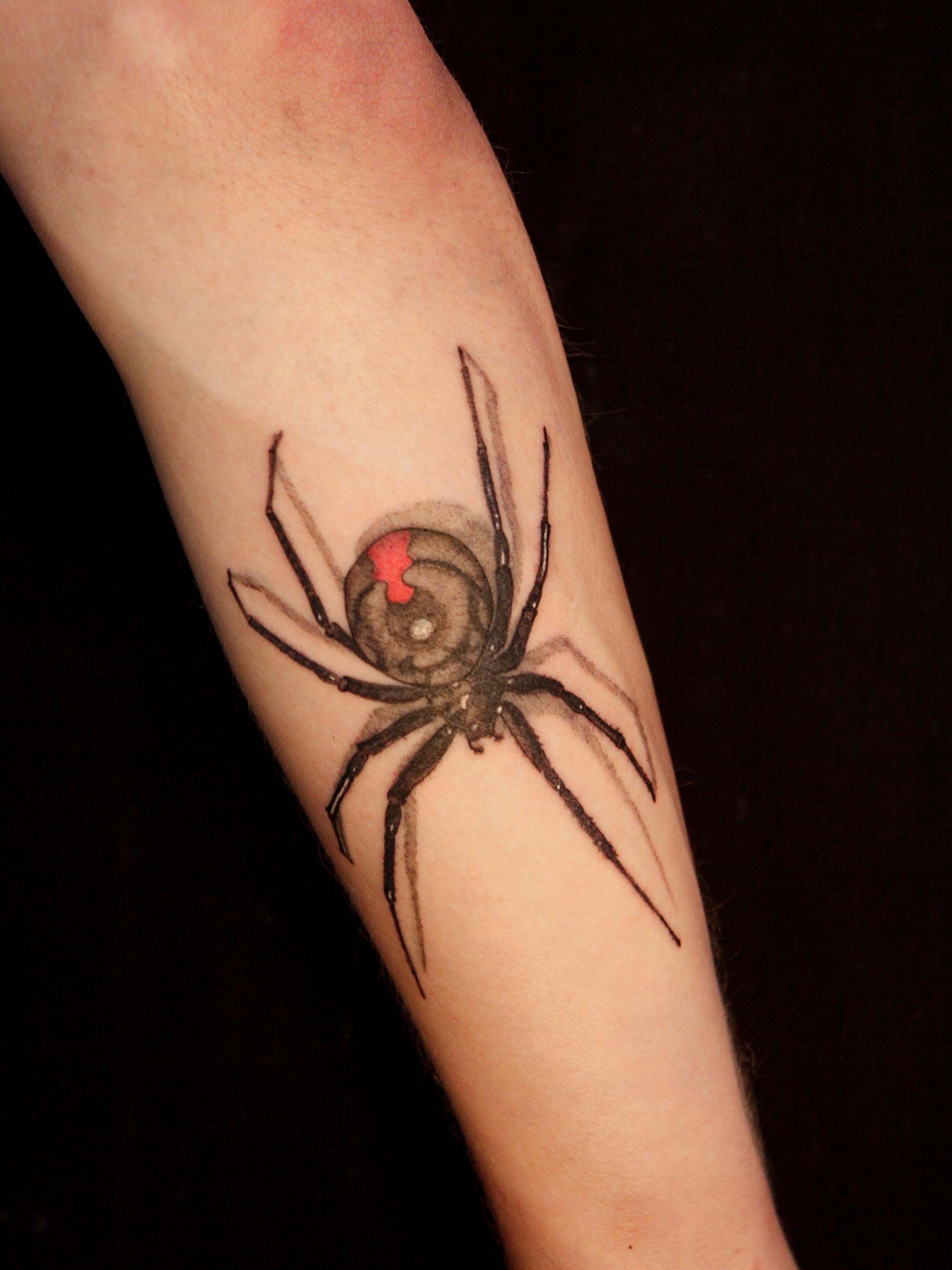 Black Widow Eye Spider
