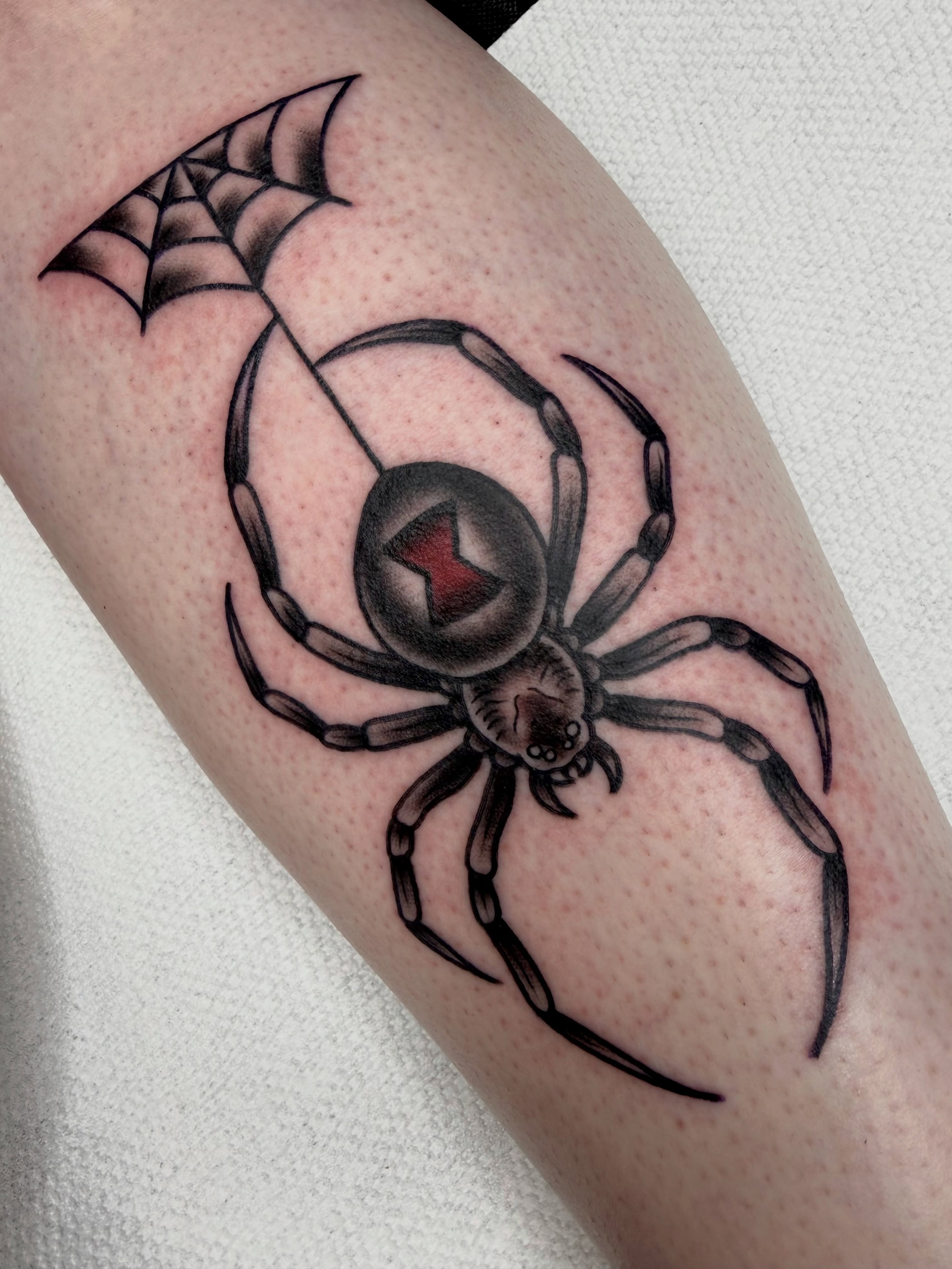 Black Widow Web Dual