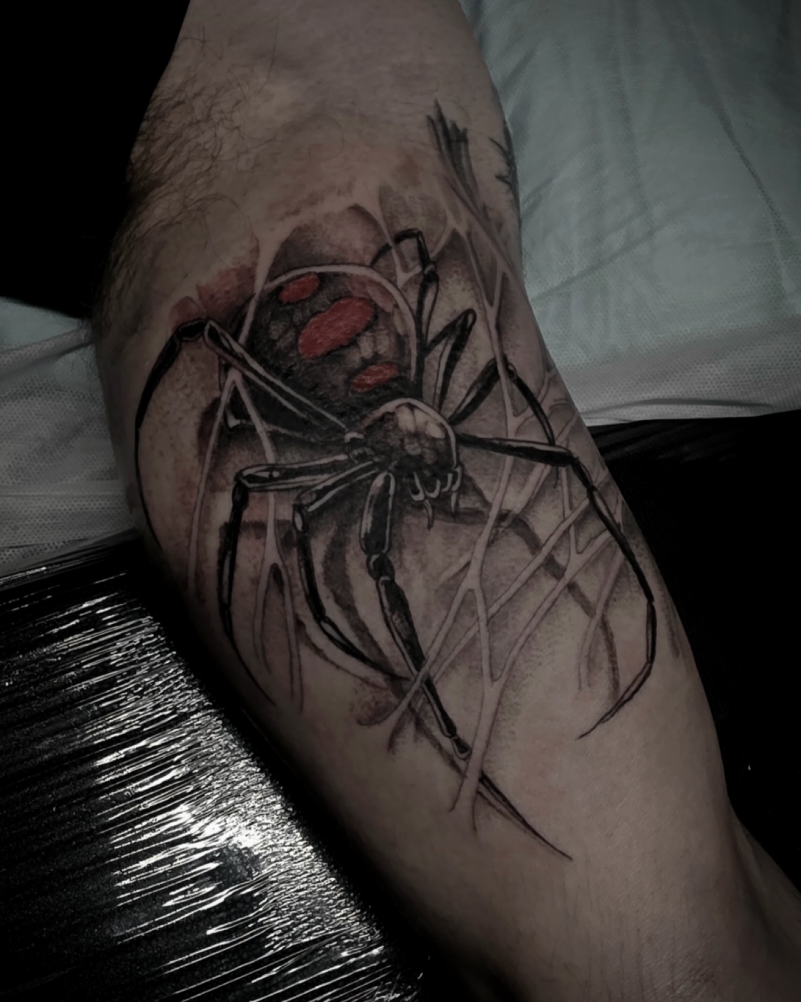 Black Widow Web Guardian