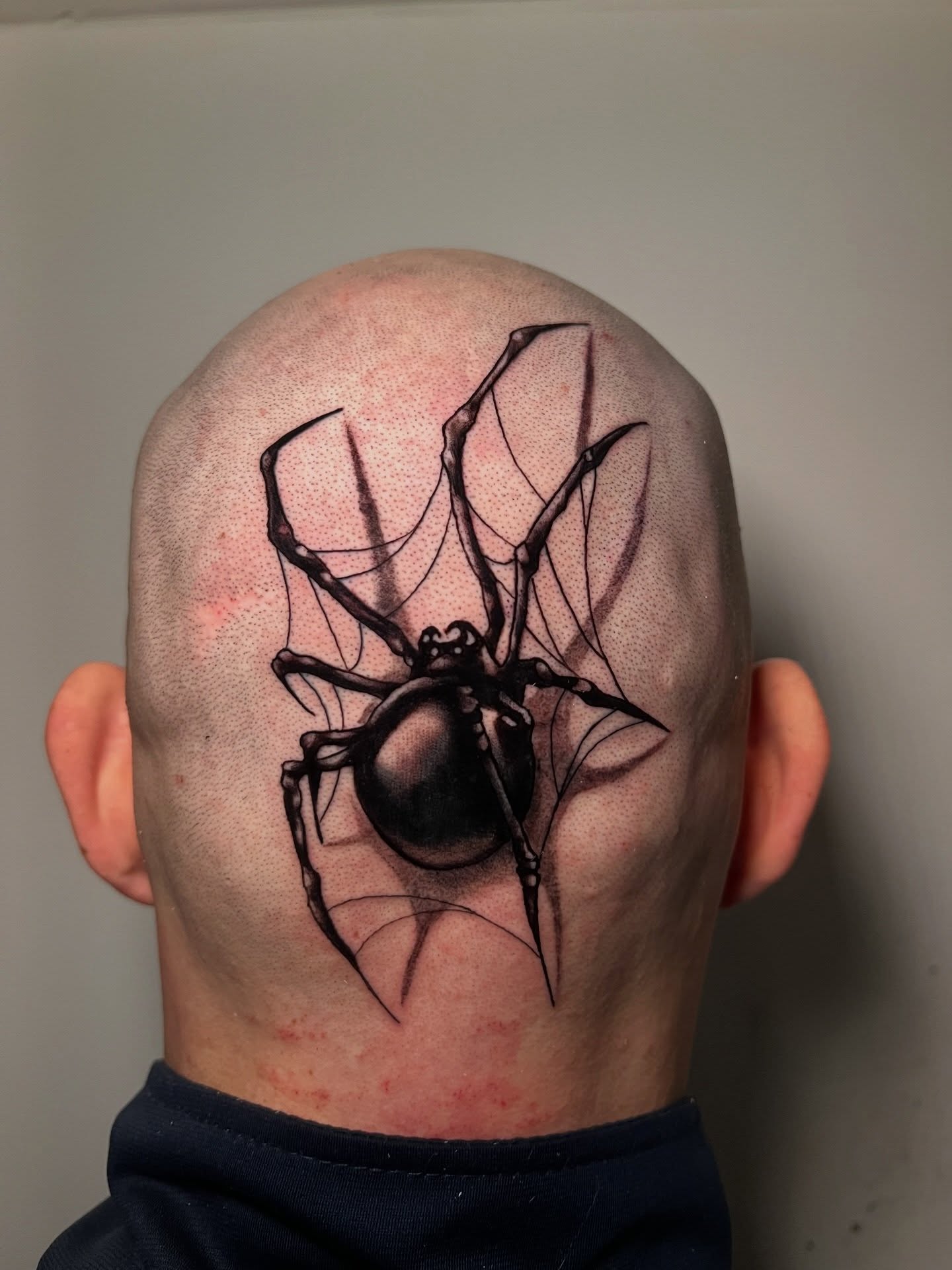 Black Widow Webguard