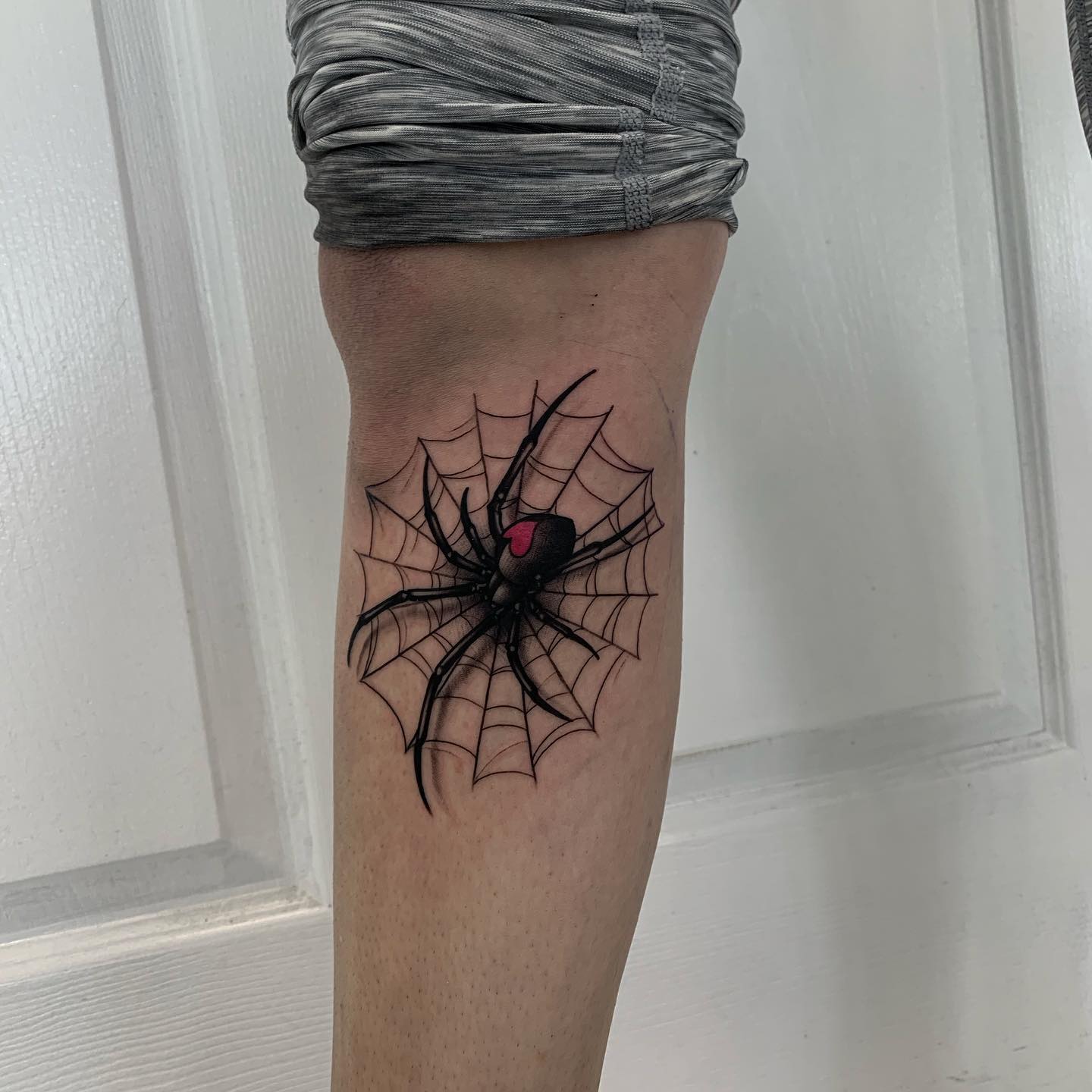 Black Widow Web Spider