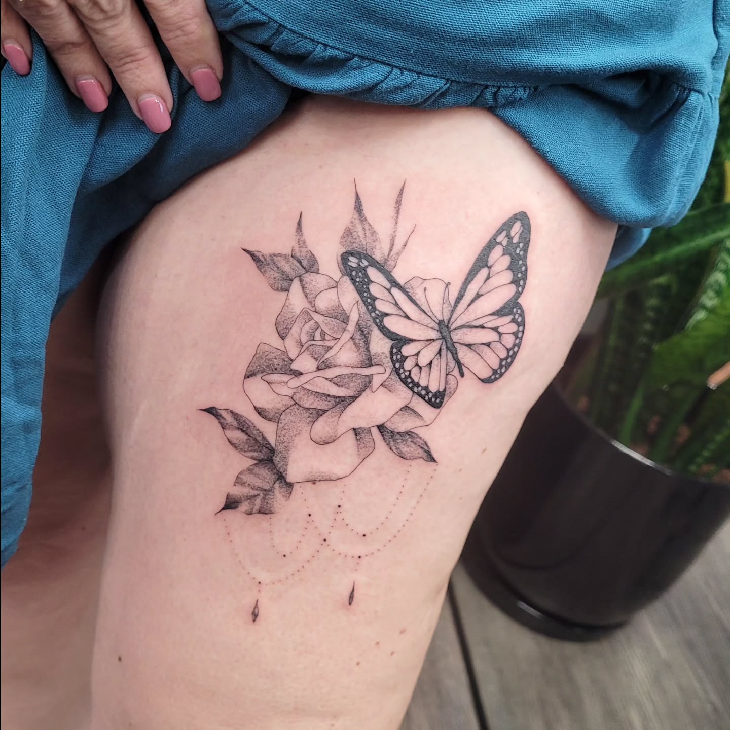 Butterfly Rose Bloom