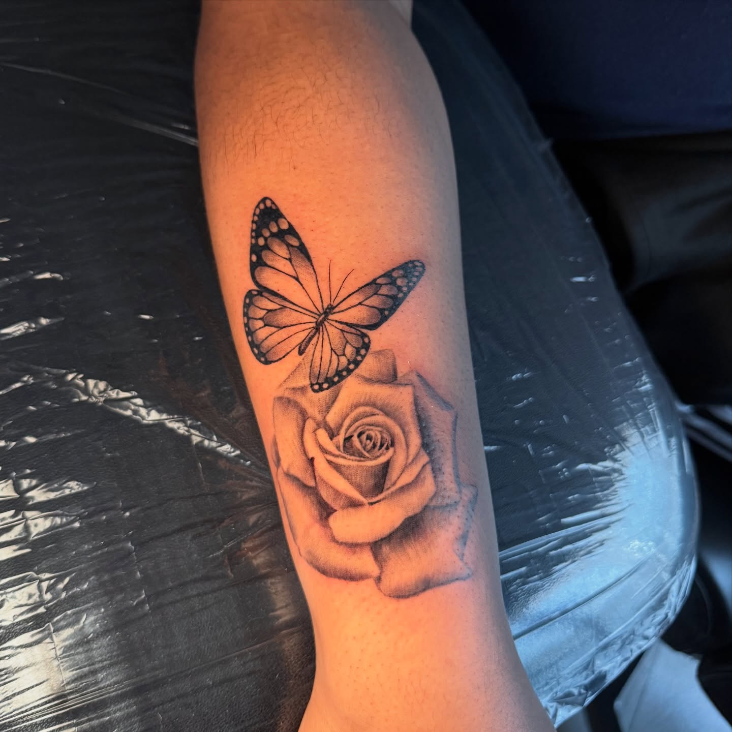 Rose and Butterfly Bloom