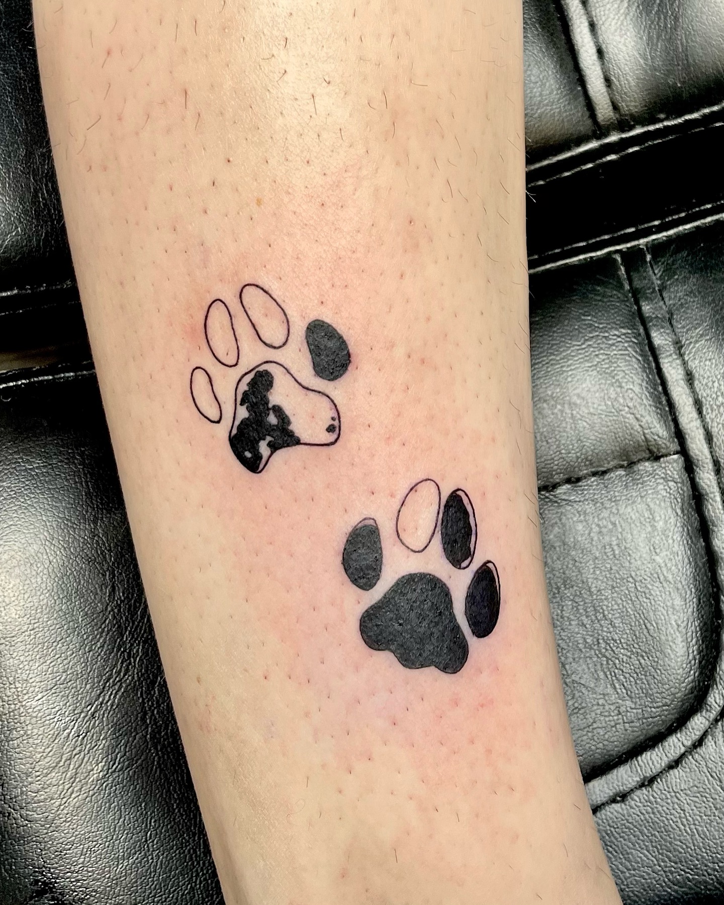 Cat Paw Trio