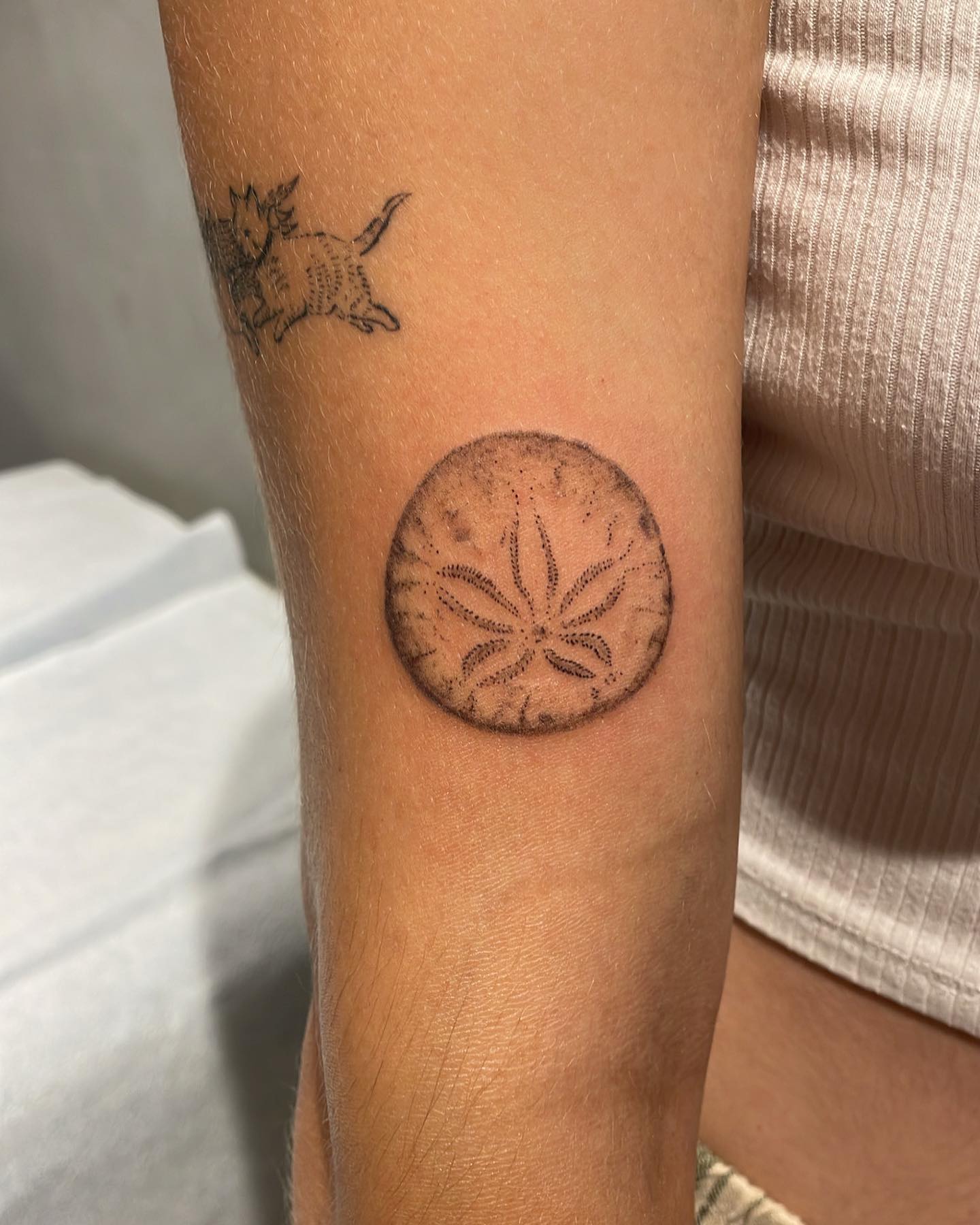 Sand Dollar Sunburst