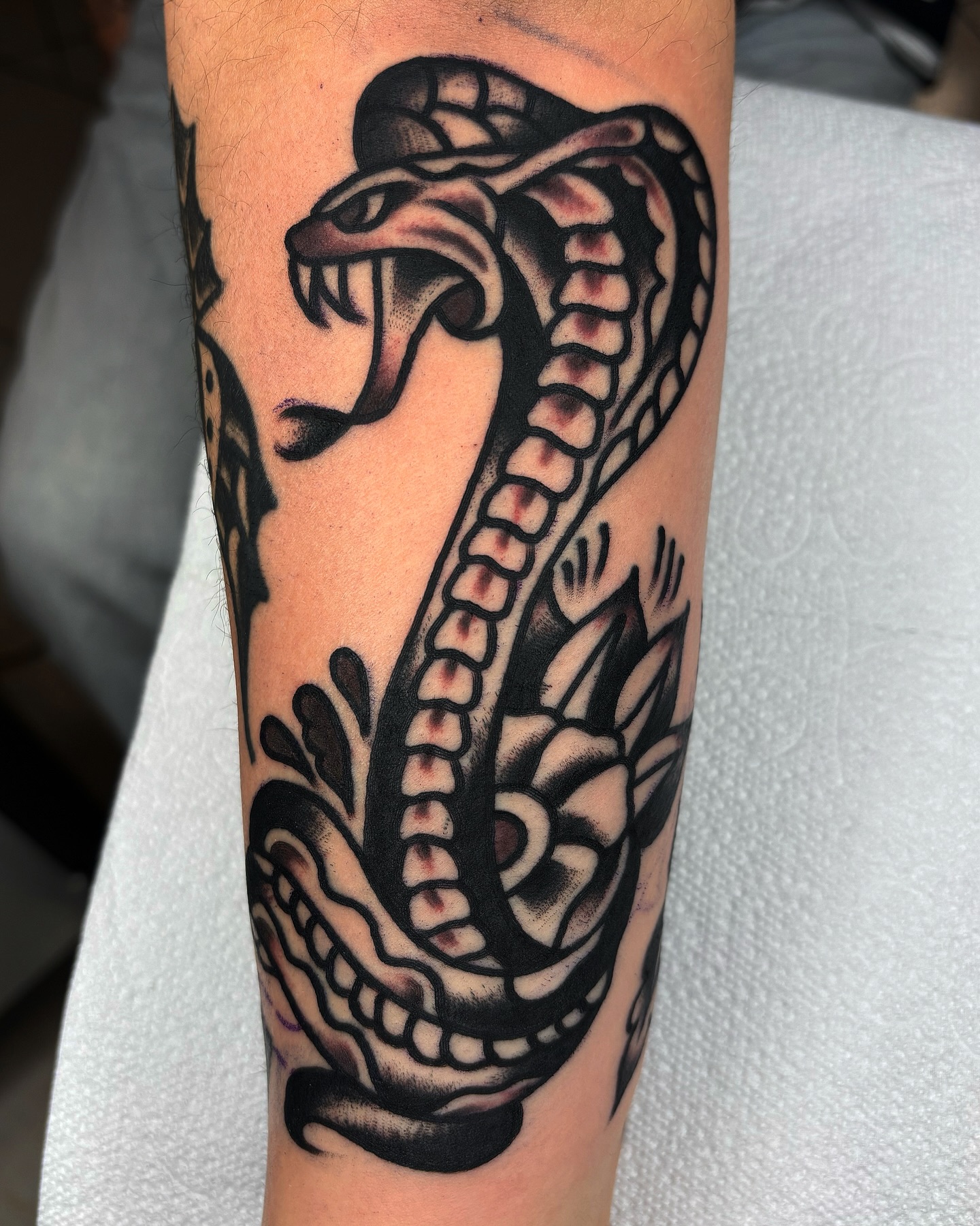 Brazo con brida y poder
