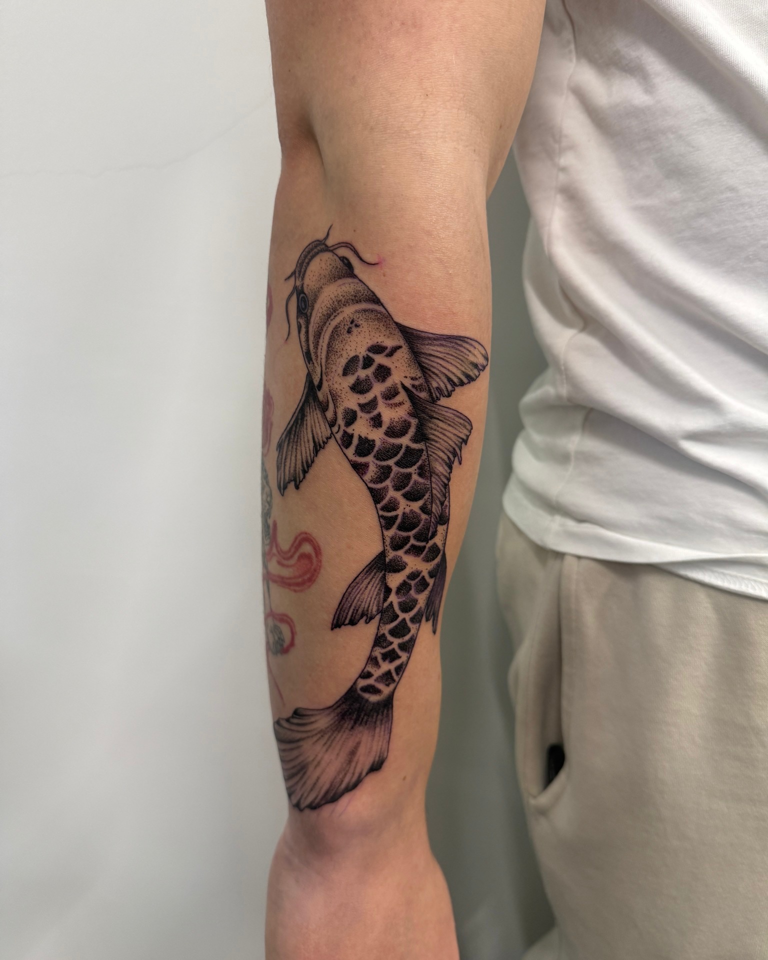 Koi de tinta negra