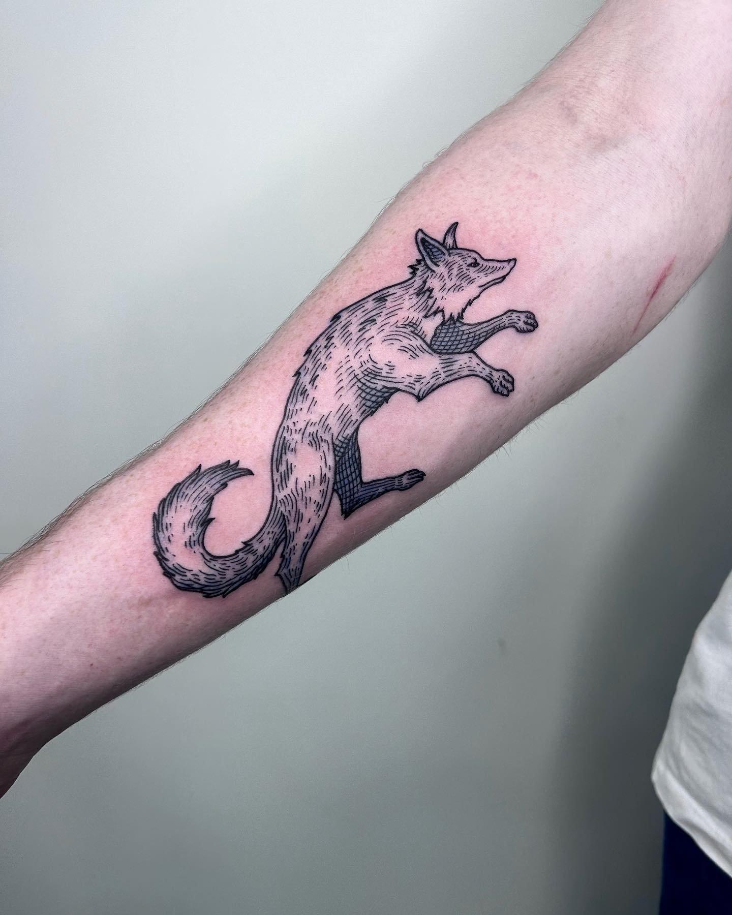 Leaping Fox Linework