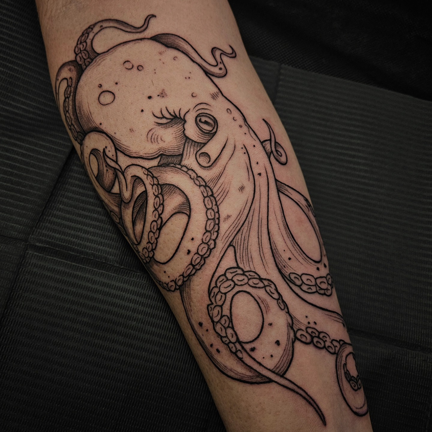 Octopus Butt Sketch