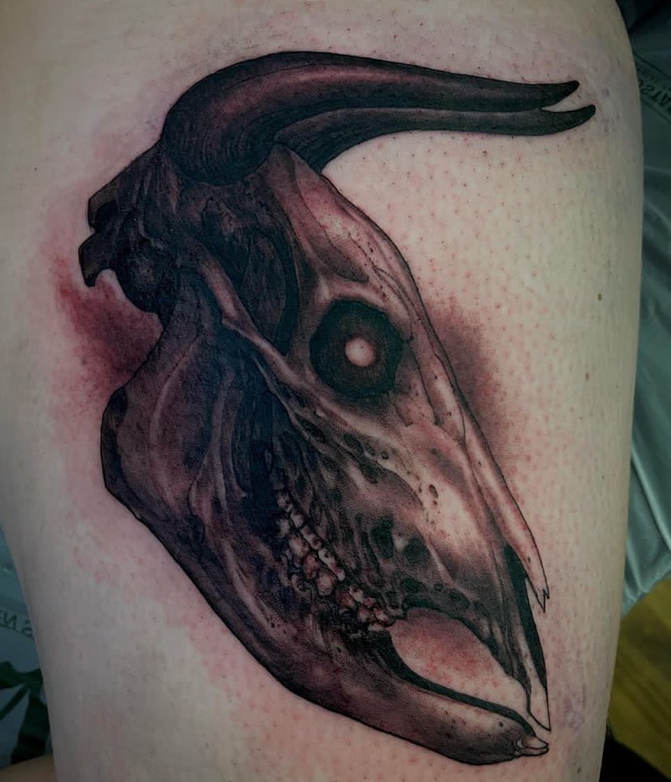Vulture Eye Portrait