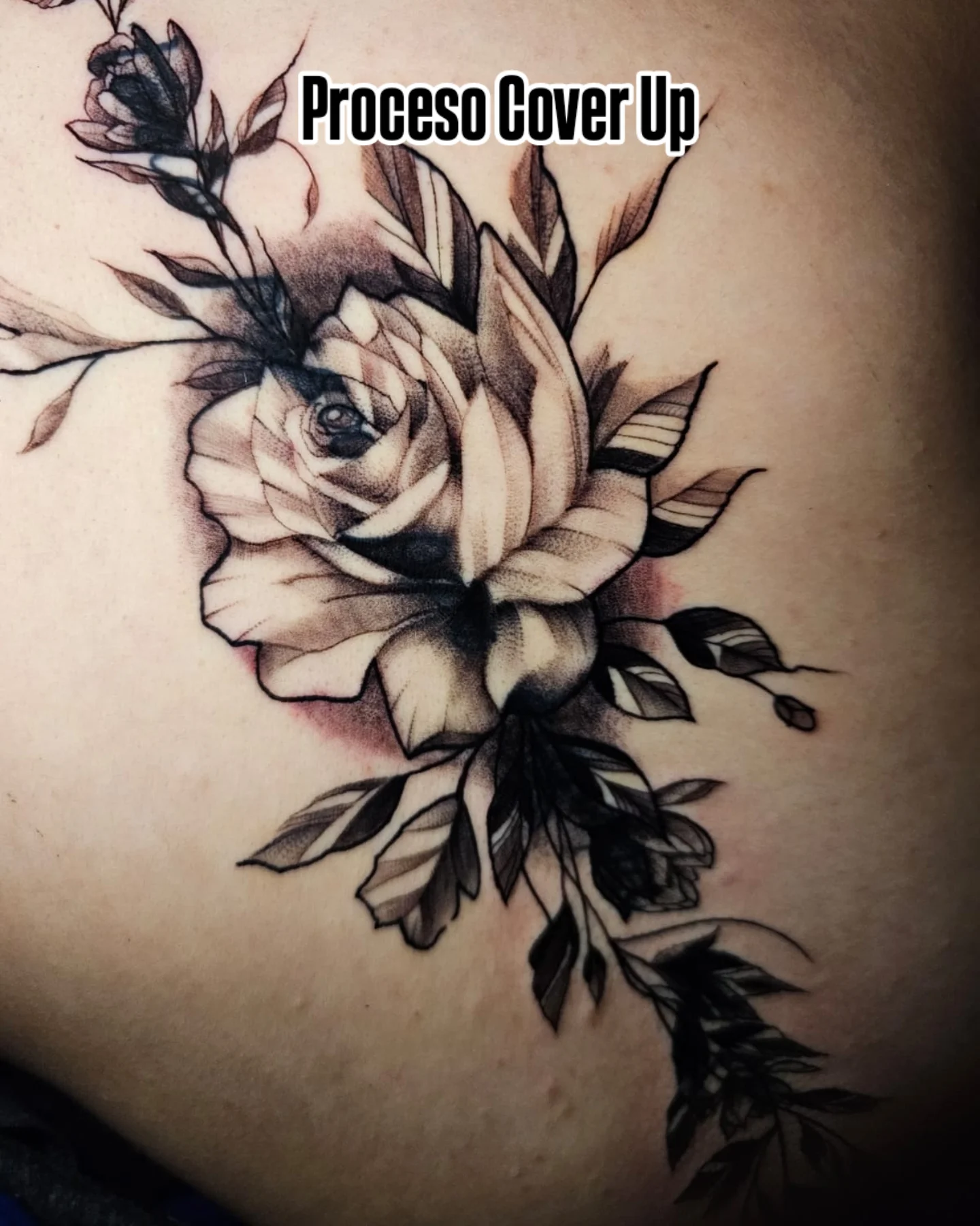 Rosa y hojas espalda