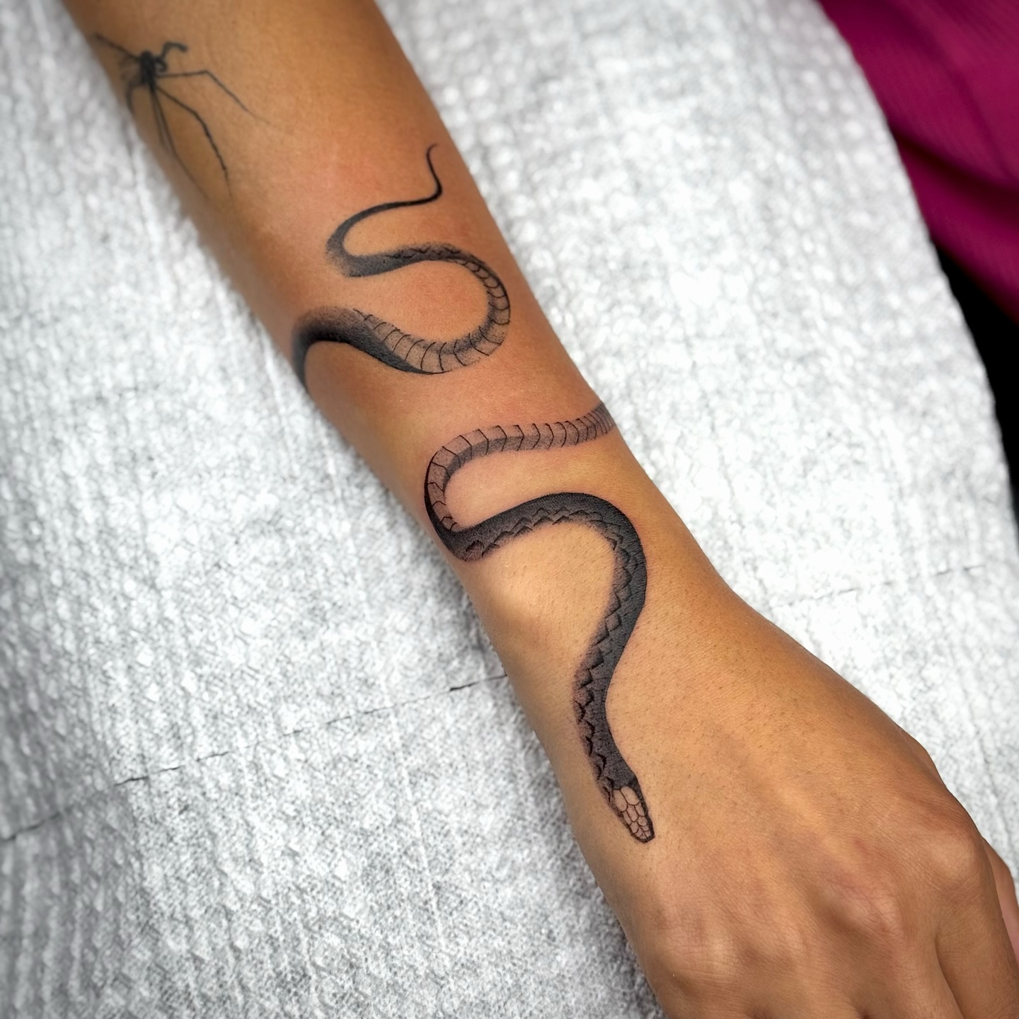 Serpiente en el antebrazo