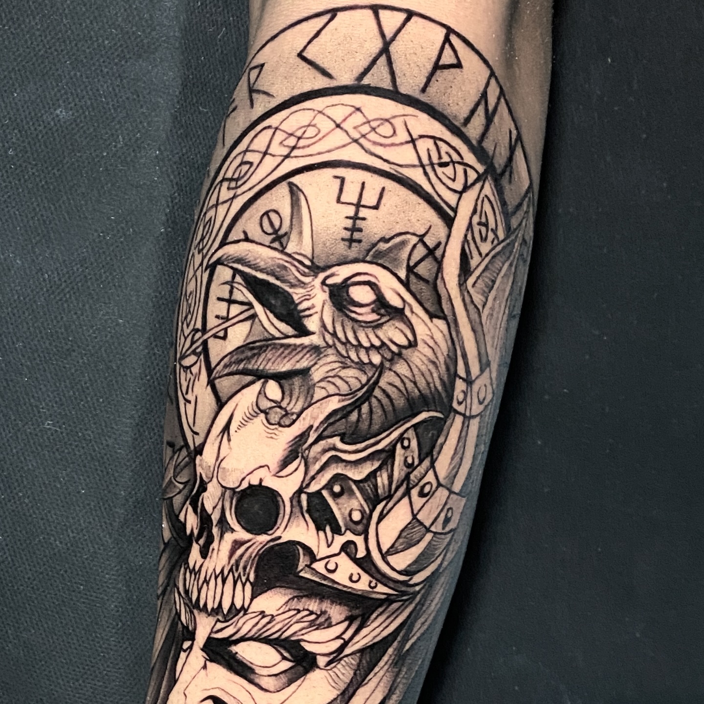 Brazo cráneo y geometría