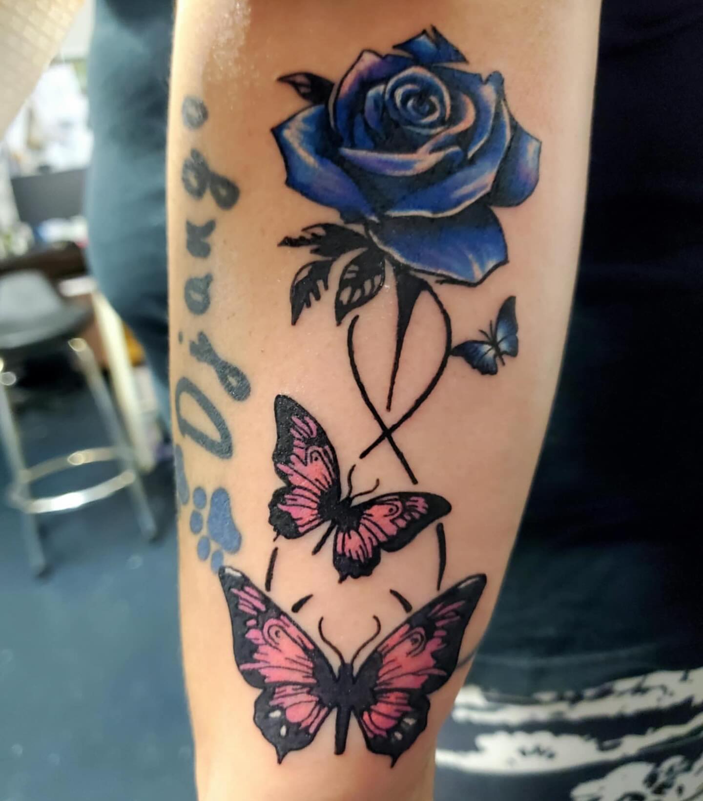 Blue Rose Butterfly
