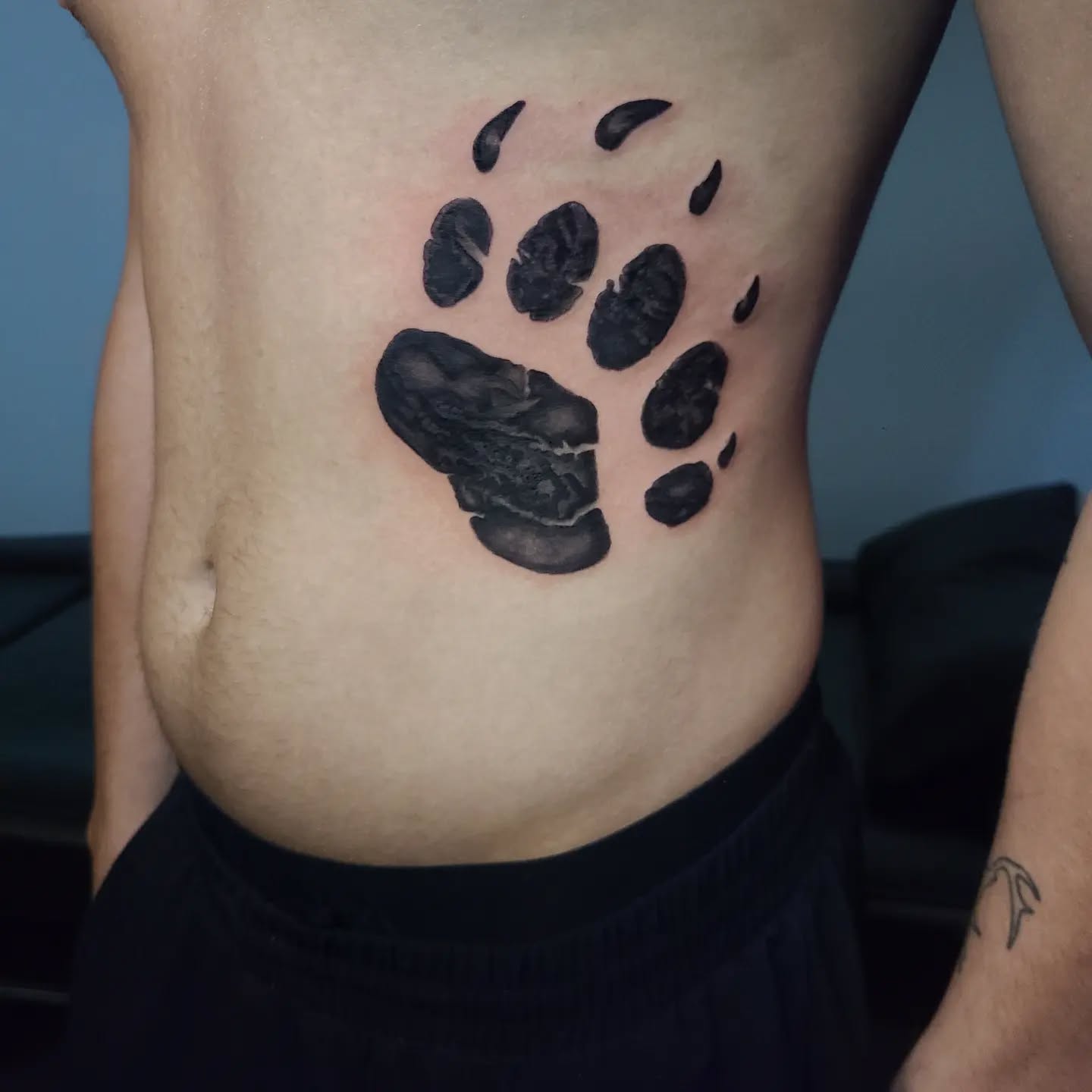 Bold Bear Claw