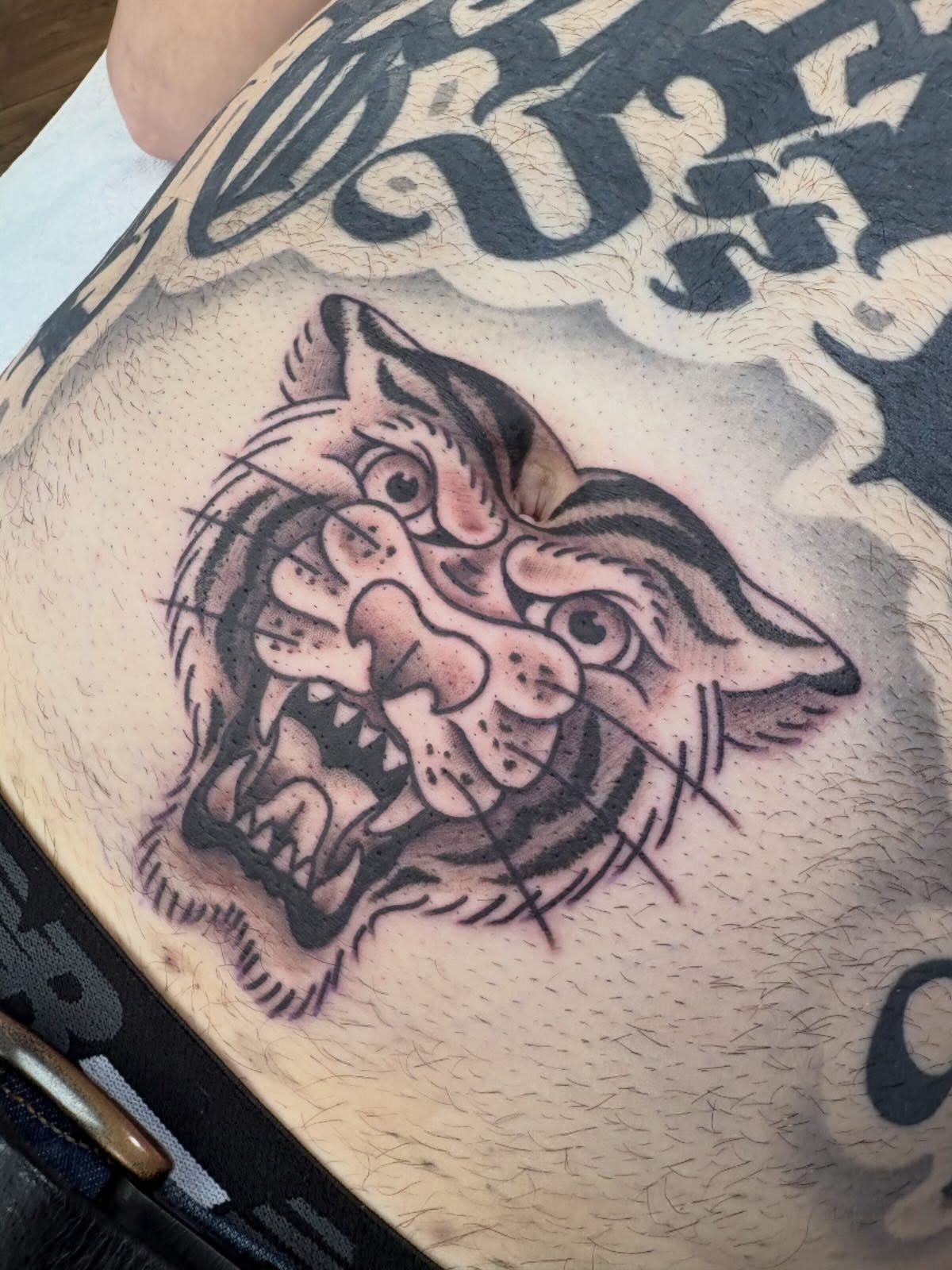 Bold Cat Belly Tattoo