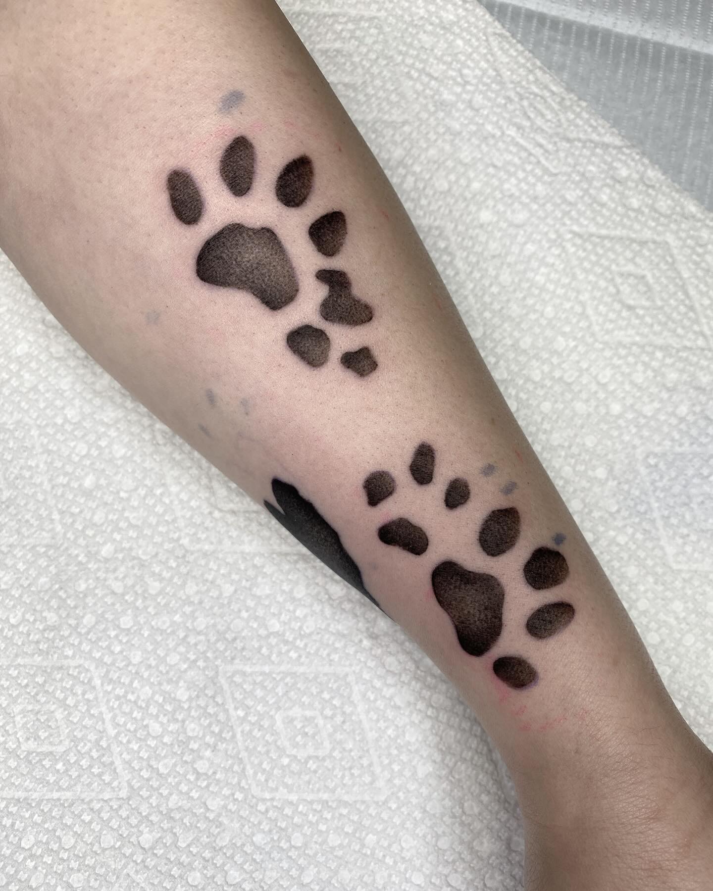 Bold Cat Paw Prints
