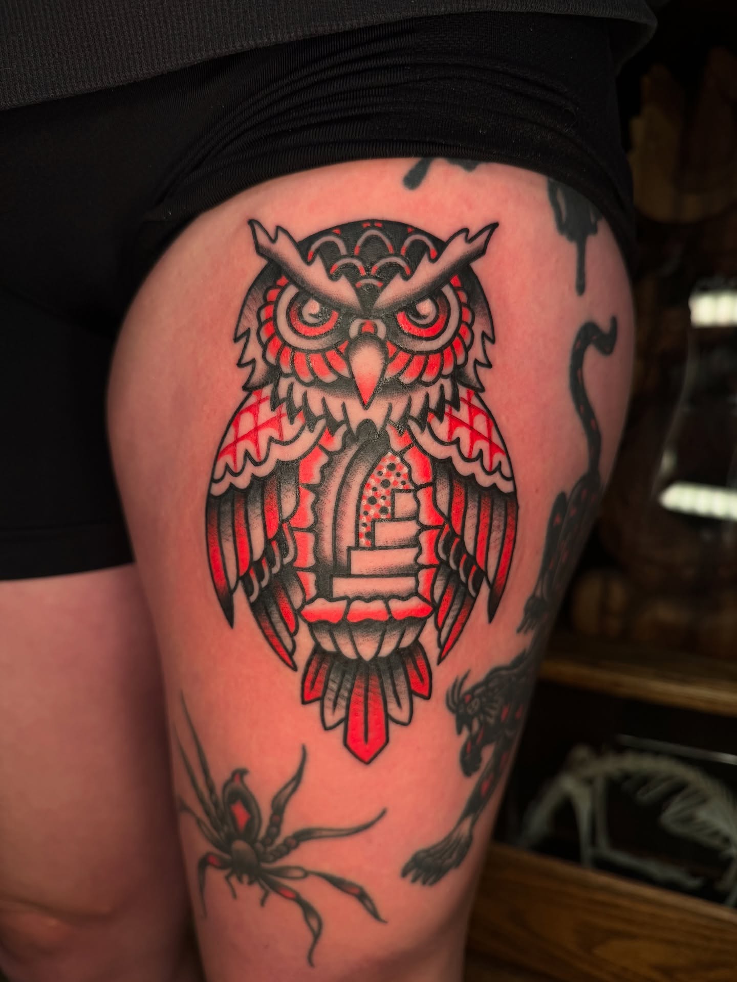 Bold Geometric Owl