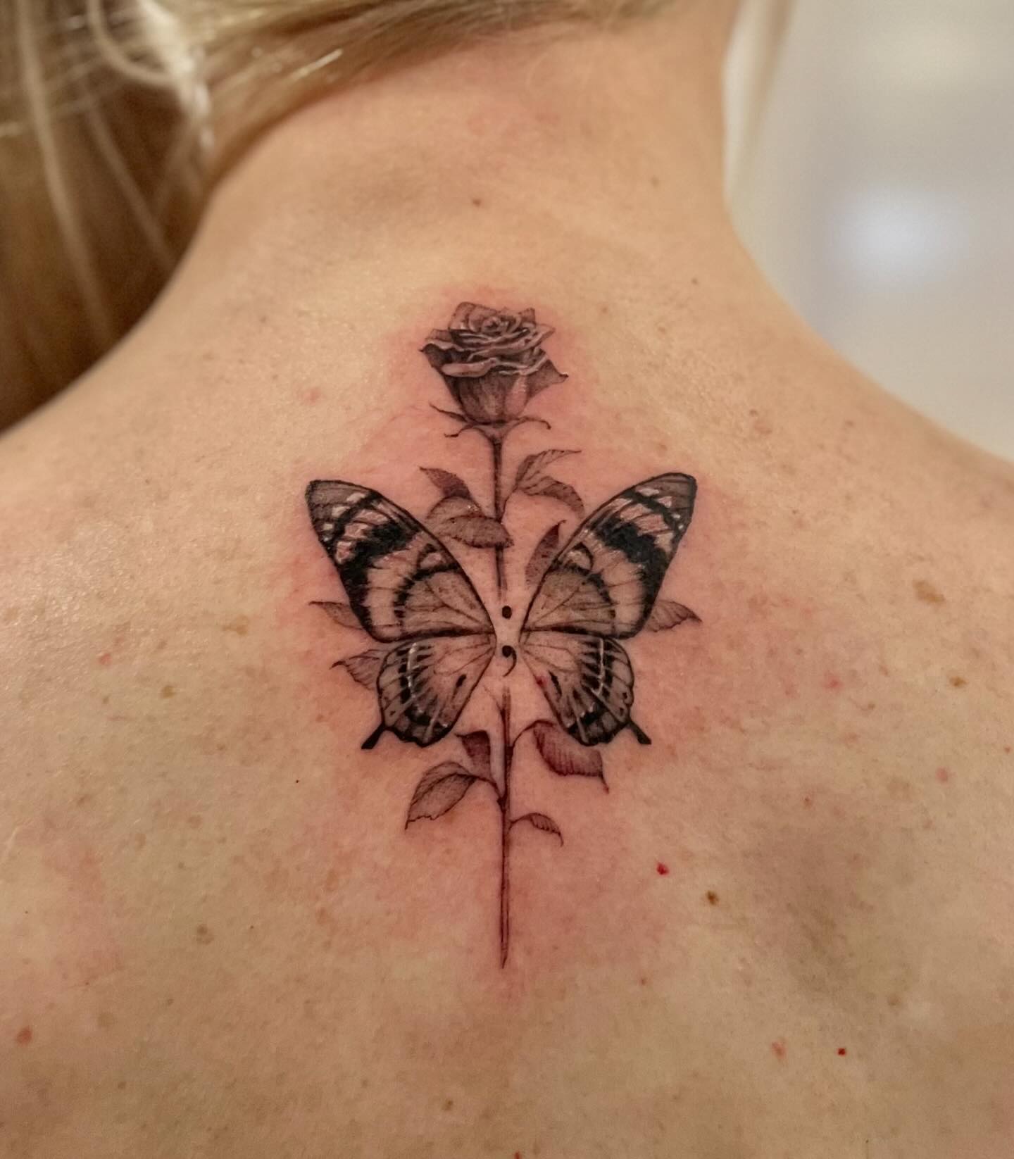 Butterfly Rose Blossom