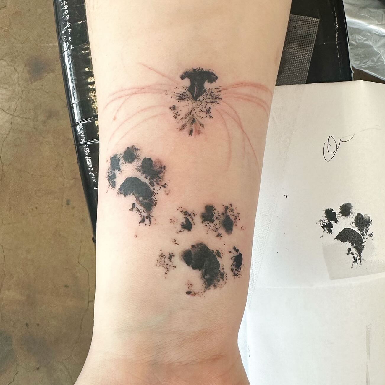 Cat Nose and Paw Prints