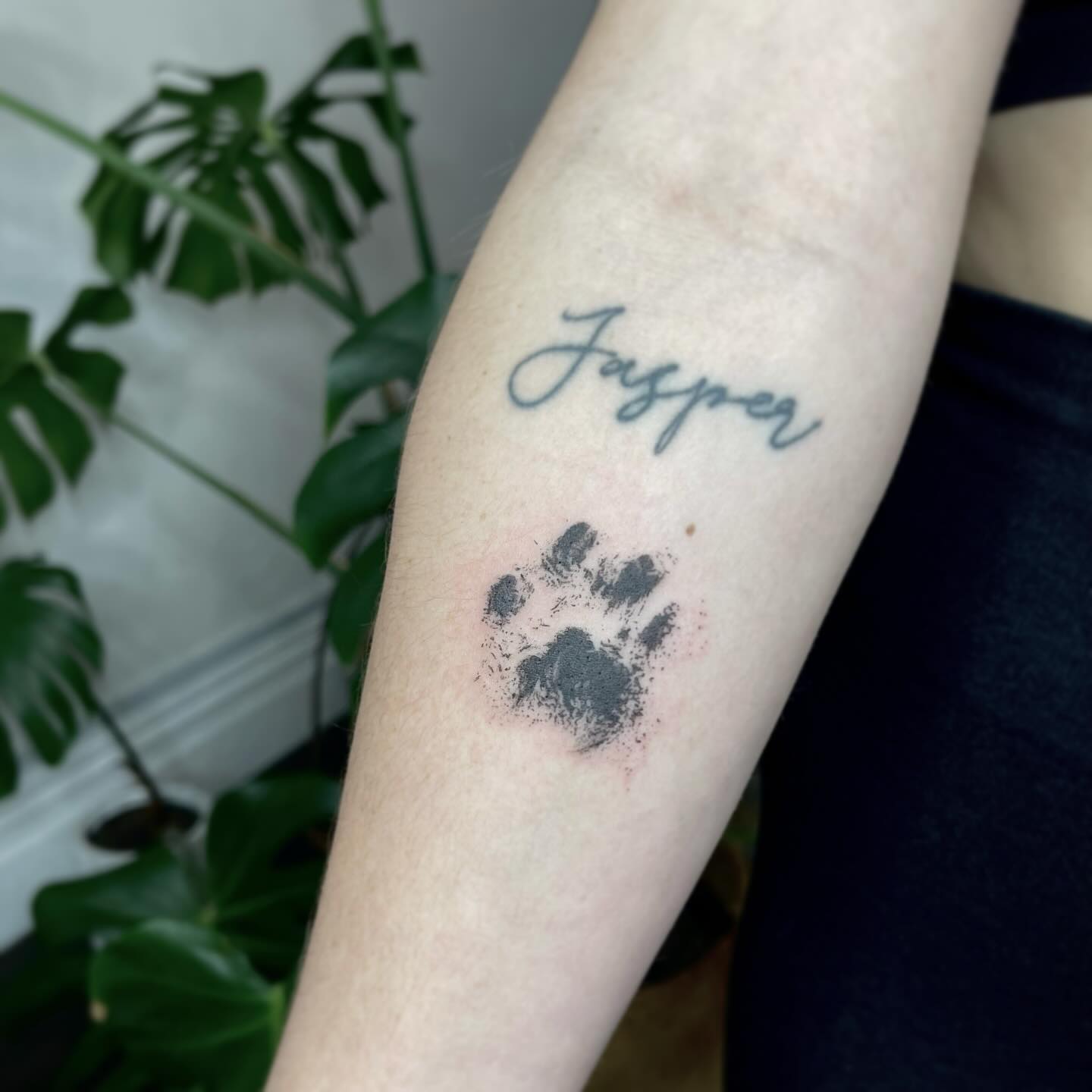 Cat Paw Print