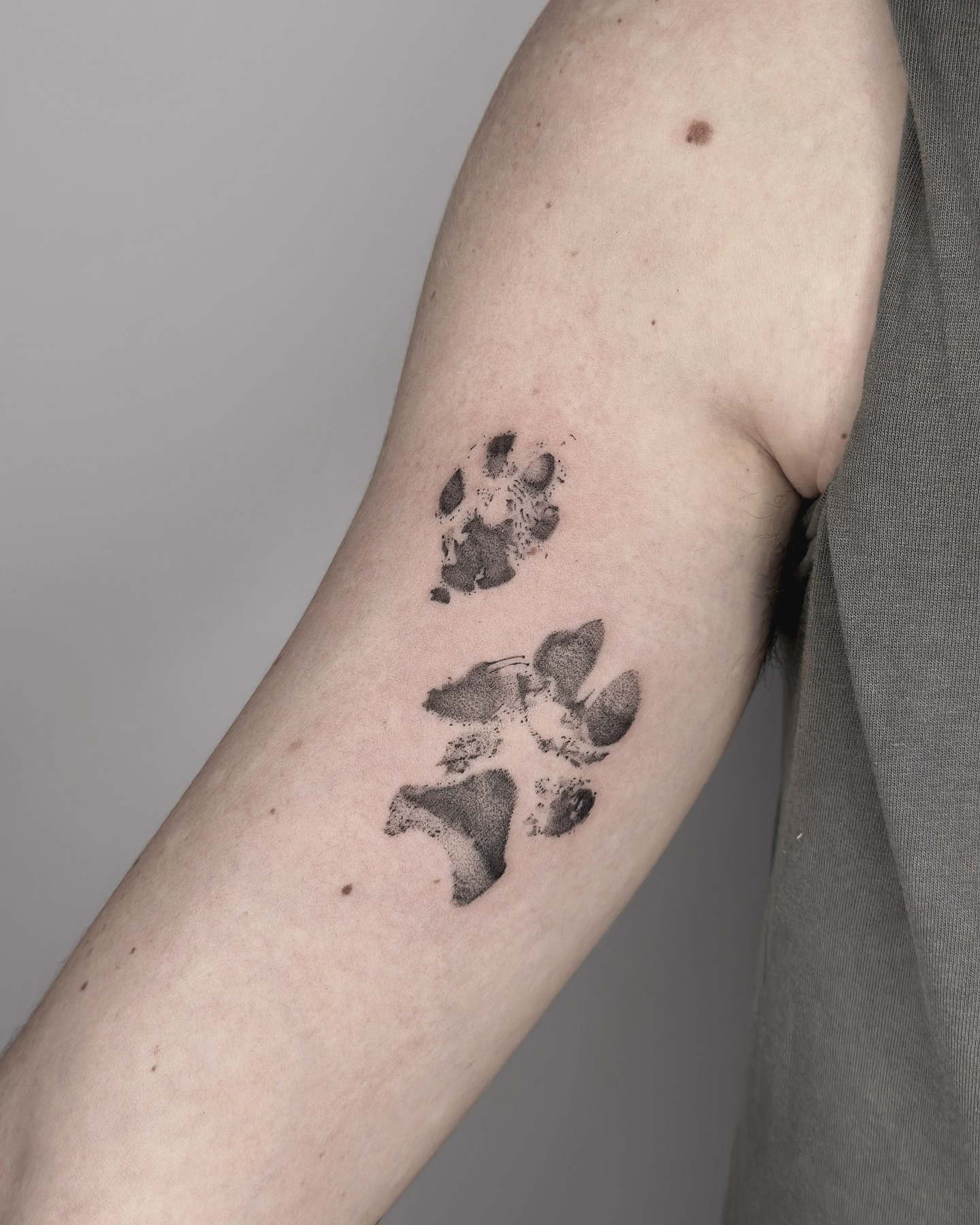 Cat and Paw Prints